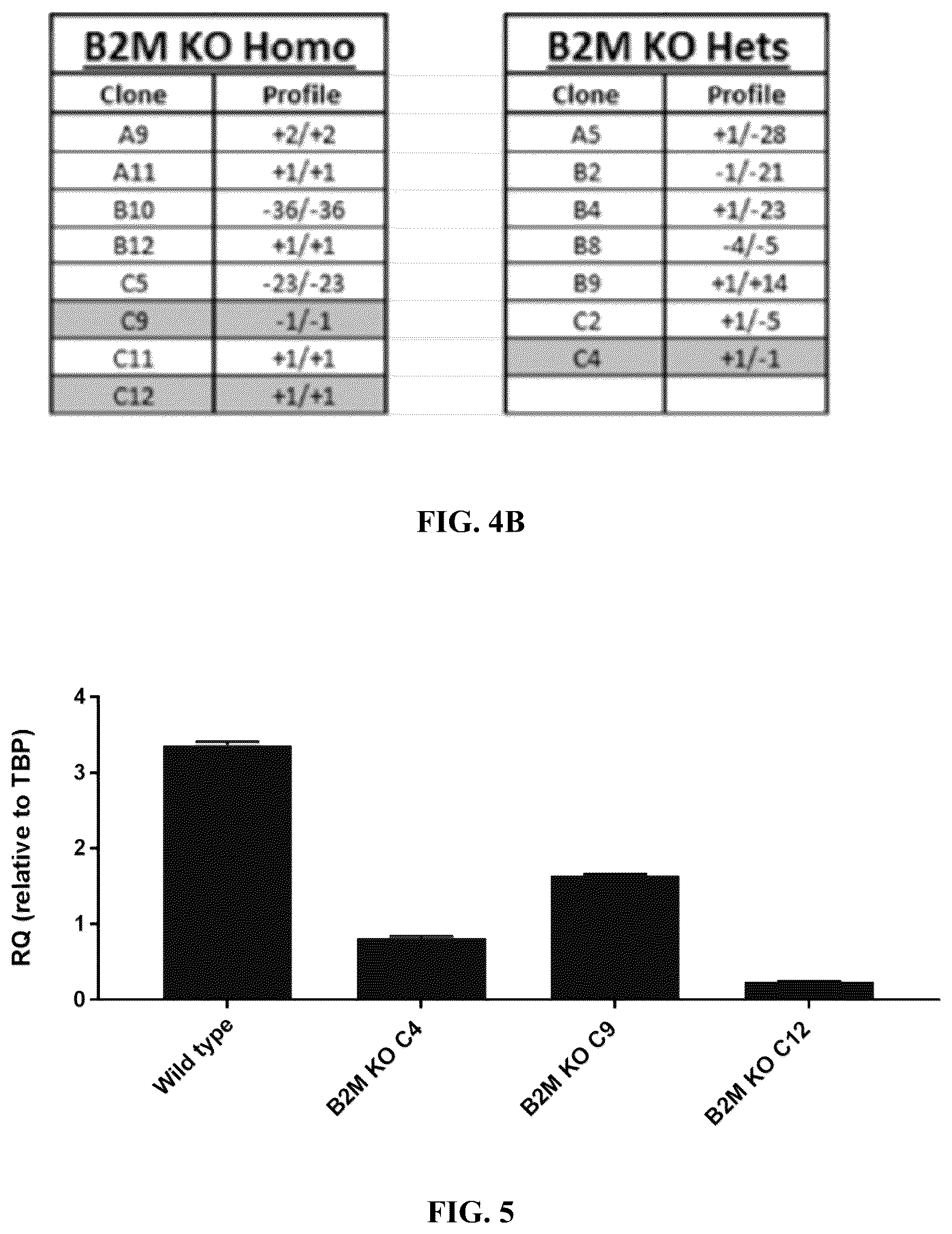 Patent US12378572 Figure 6 – Universal donor cells