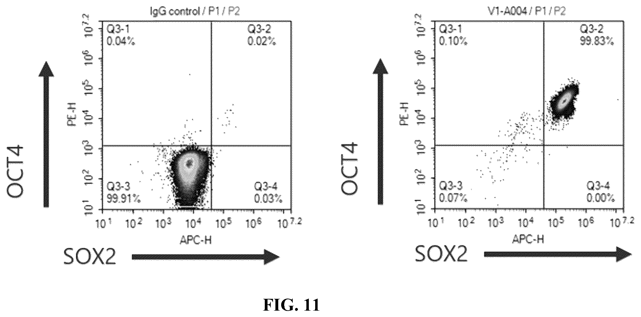 Patent US12378572 Figure 15 – Universal donor cells