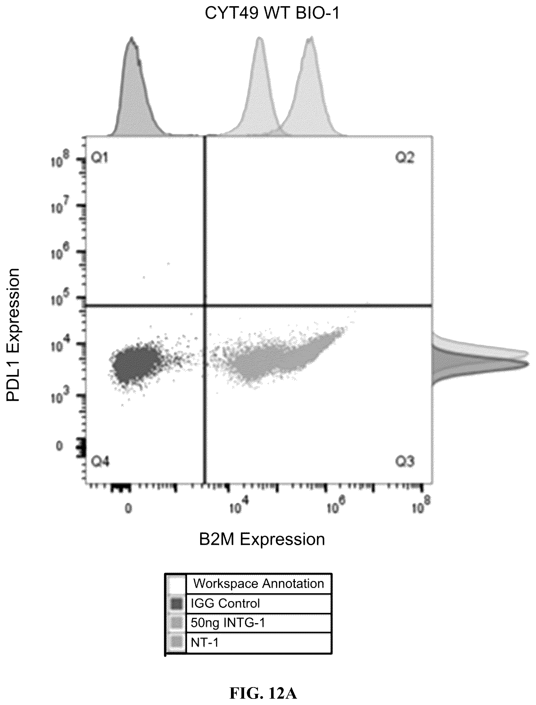 Patent US12378572 Figure 16 – Universal donor cells