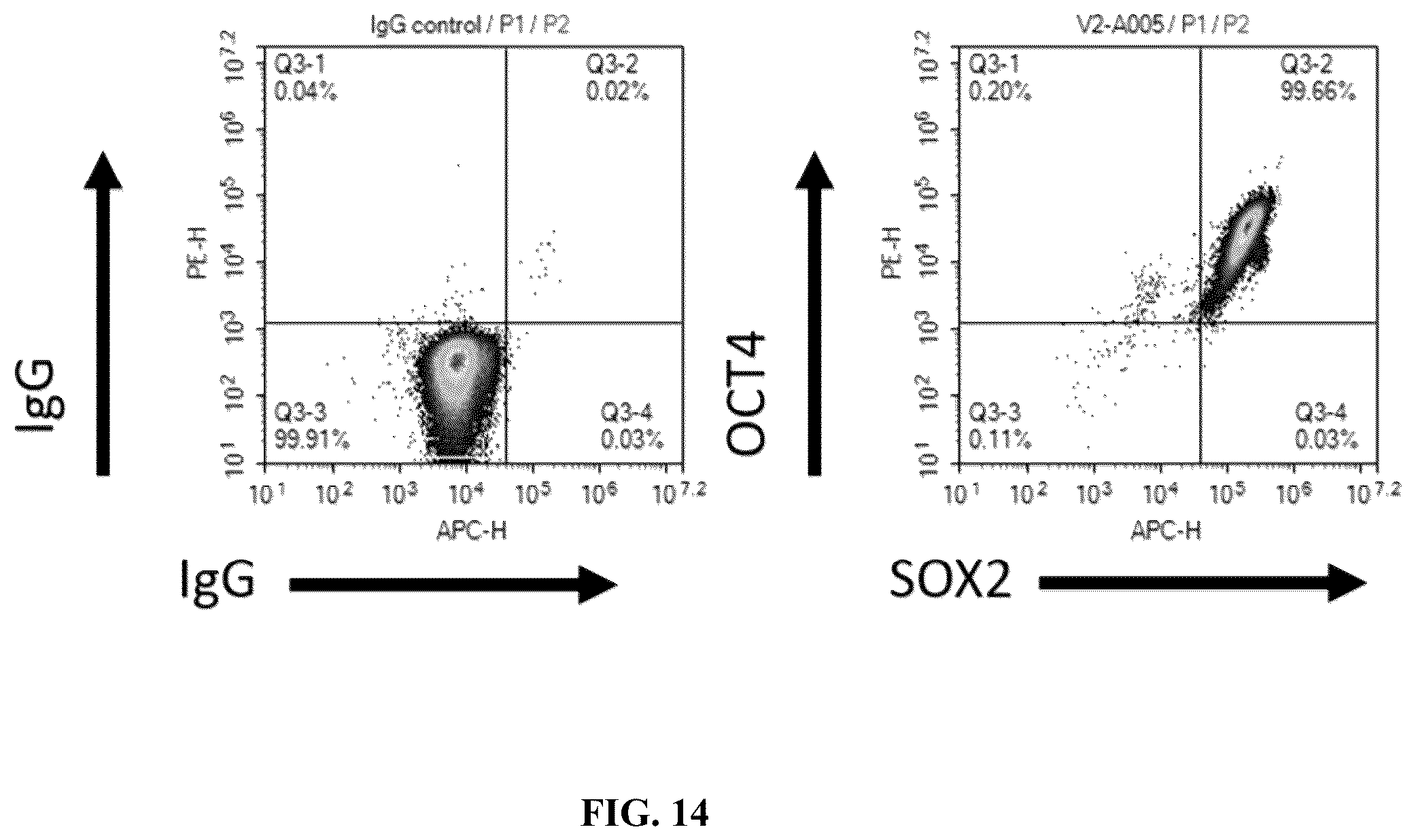 Patent US12378572 Figure 19 – Universal donor cells