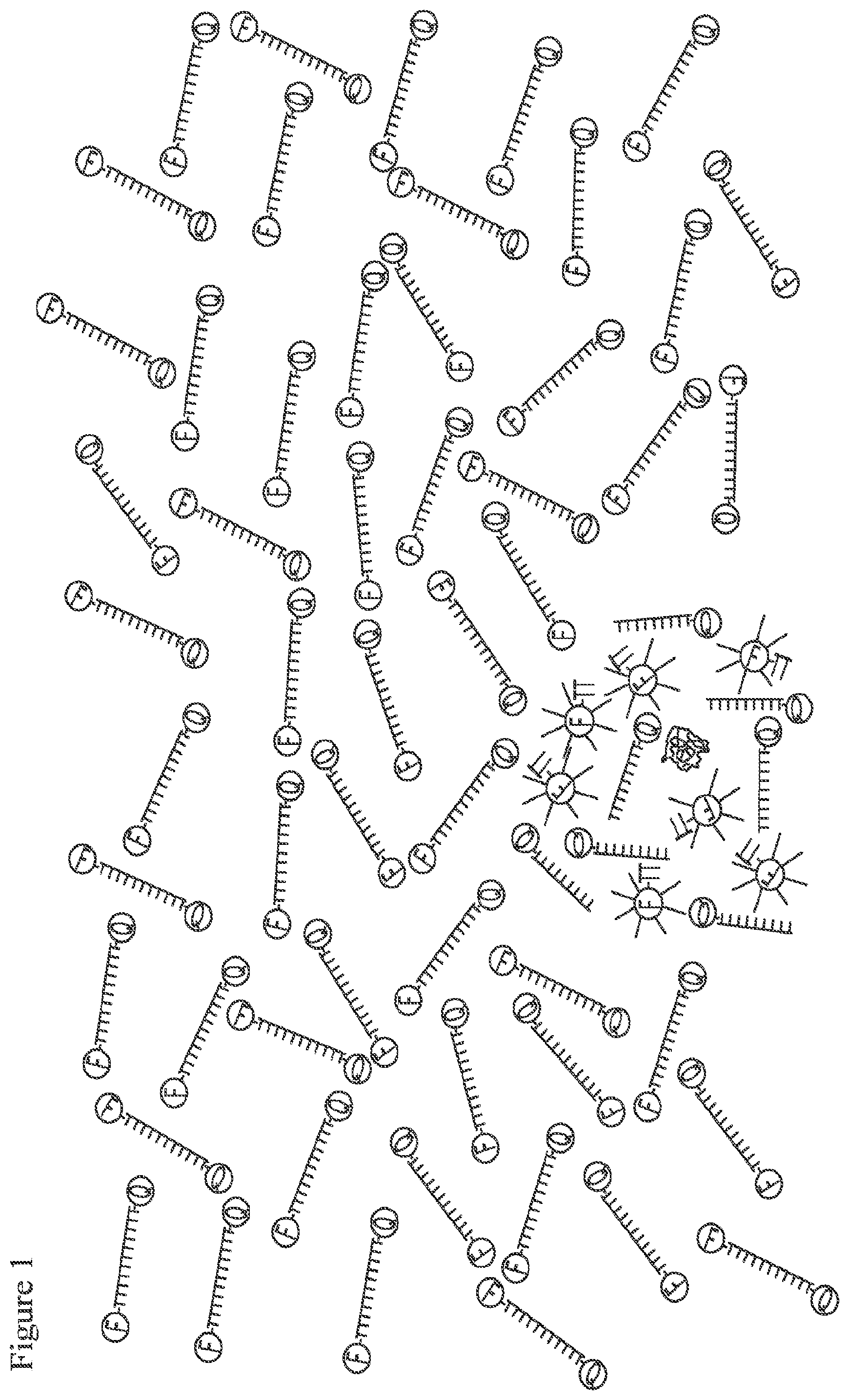 Patent US12378591 — Digital nuclease detection compositions and methods — Figure 1