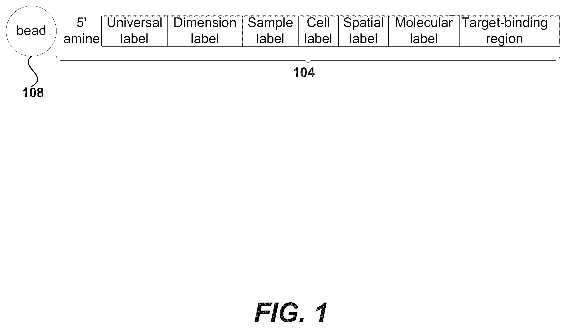 Patent US12378594 — Primers for immune repertoire profiling — Figure 1