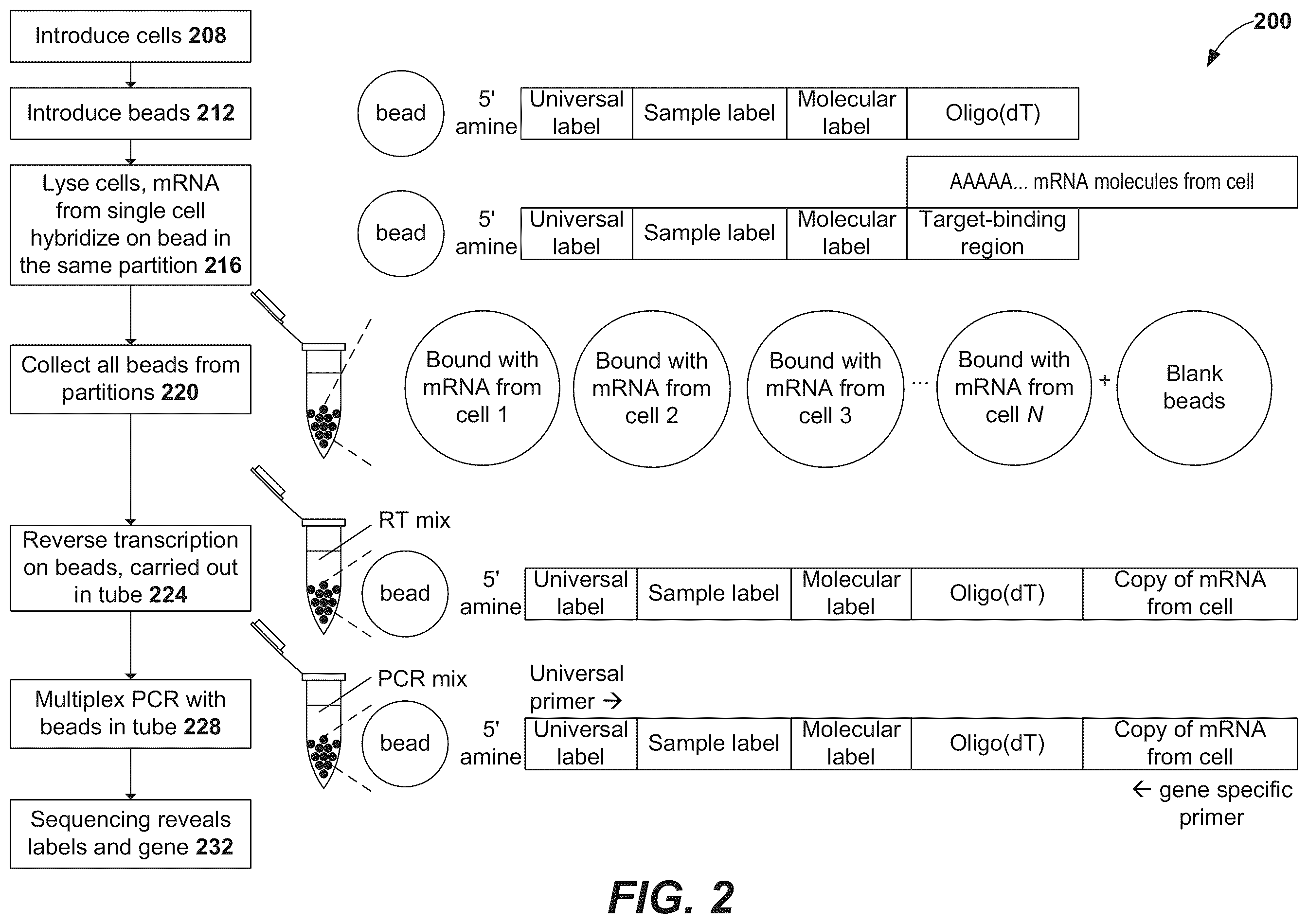 Patent US12378594 Figure 2 – Primers for immune repertoire profiling