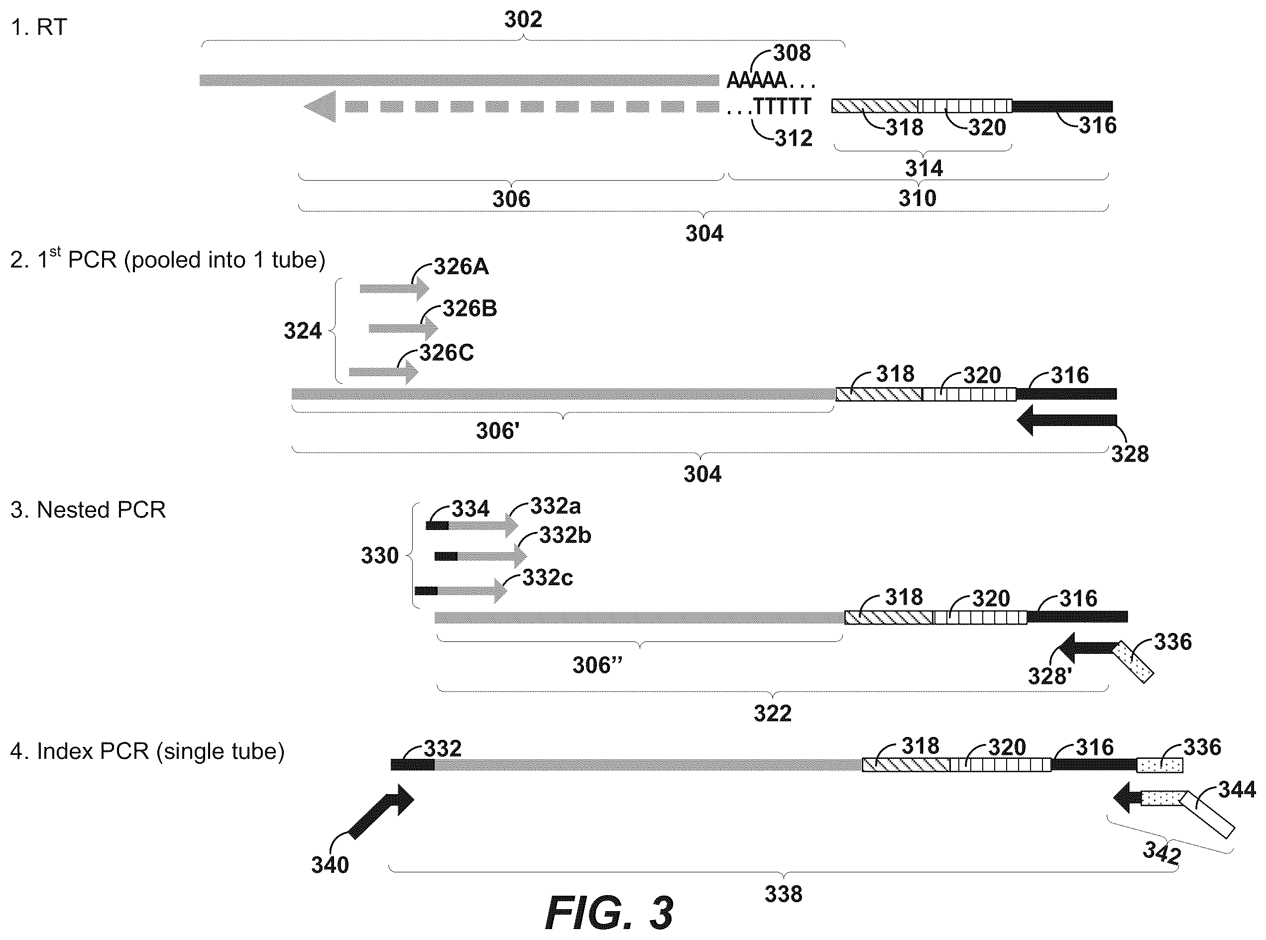 Patent US12378594 Figure 3 – Primers for immune repertoire profiling