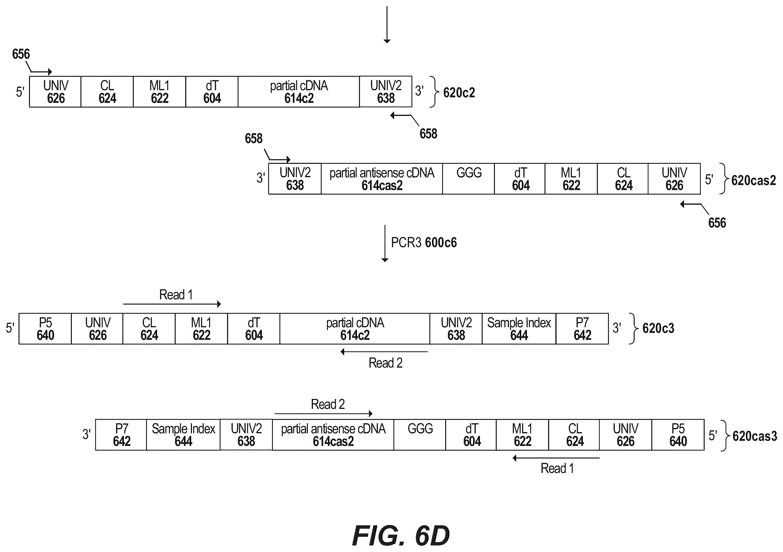 Patent US12378594 Figure 11 – Primers for immune repertoire profiling