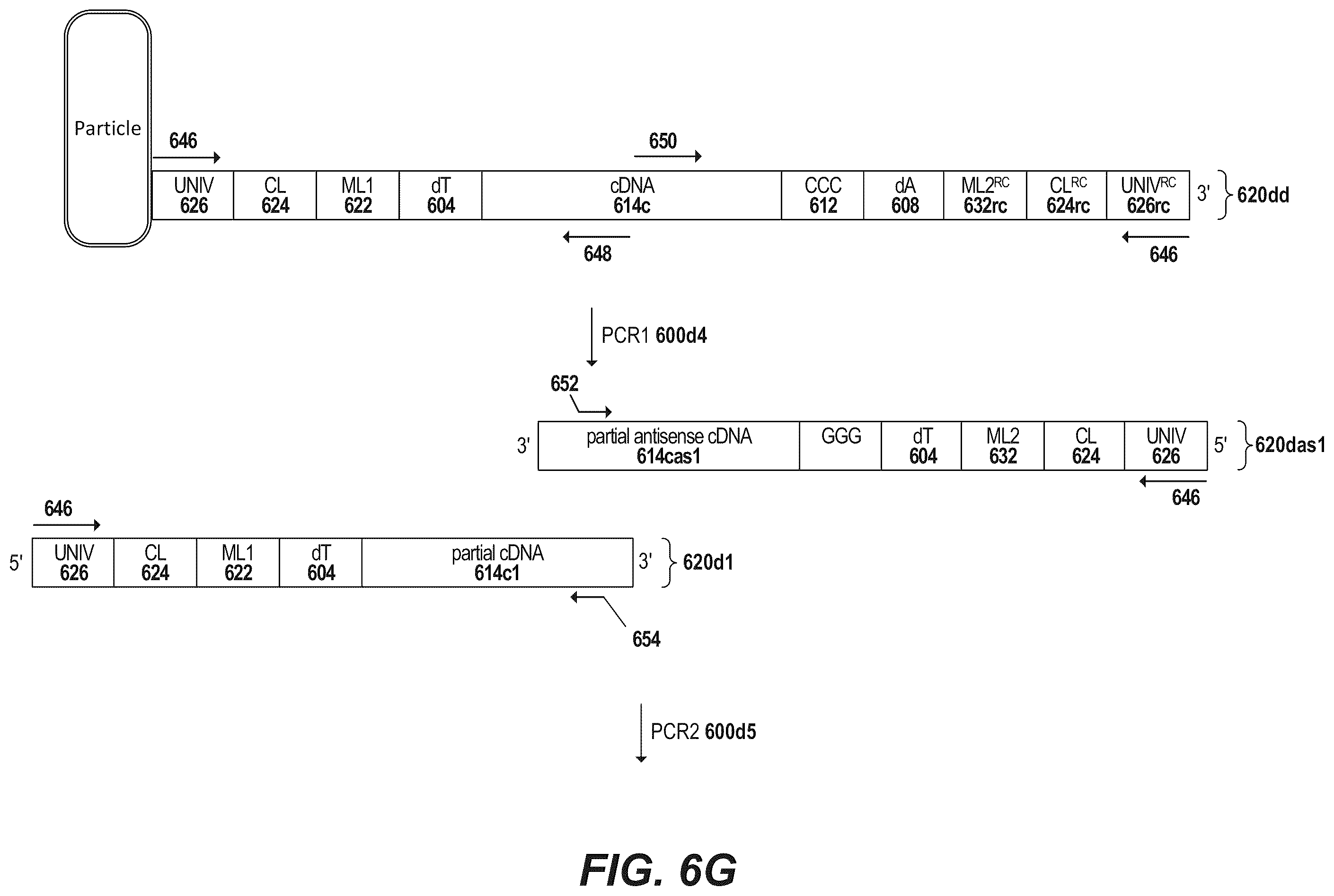 Patent US12378594 Figure 14 – Primers for immune repertoire profiling