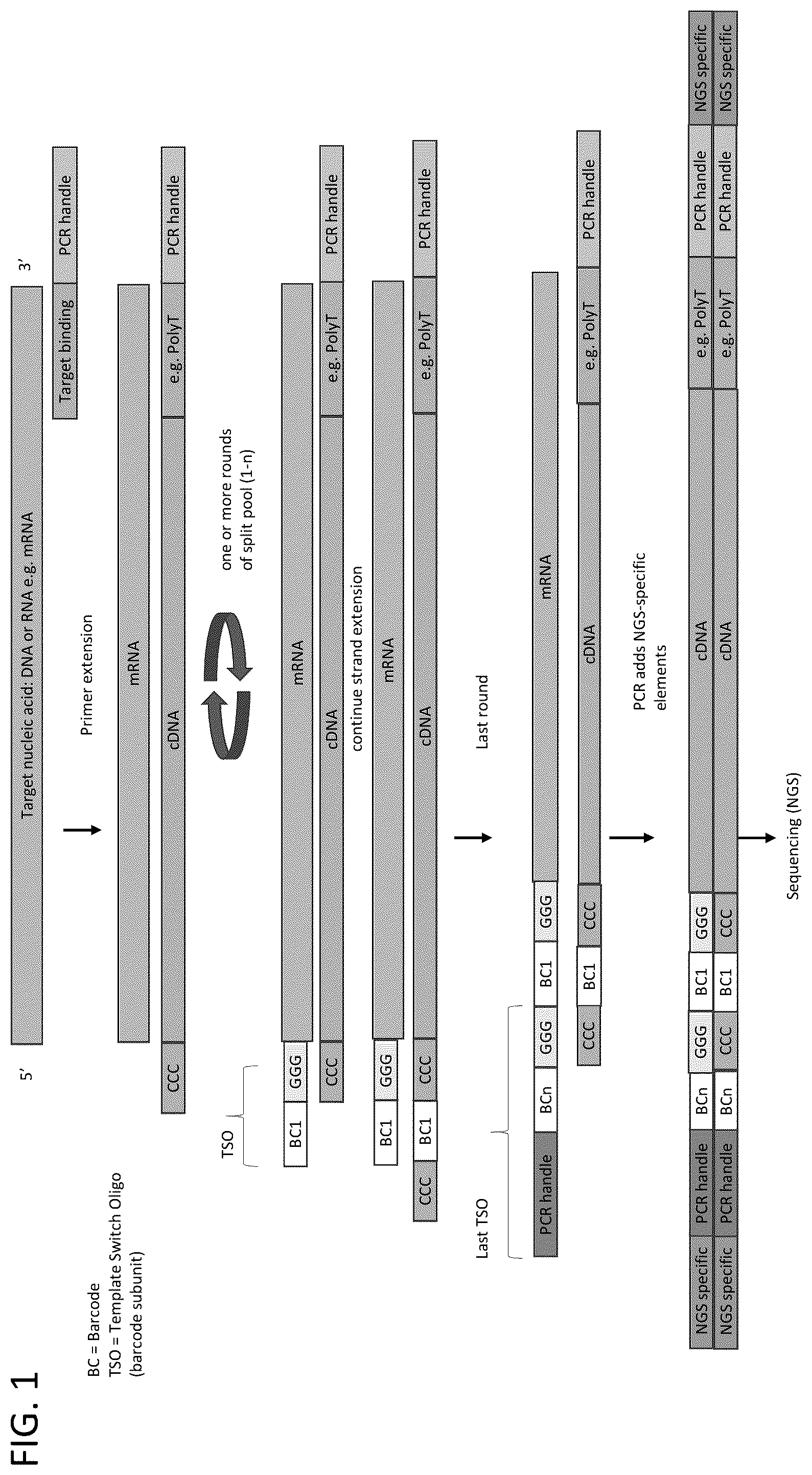 Patent US12378596 Figure 1 – Whole transcriptome analysis in single cells