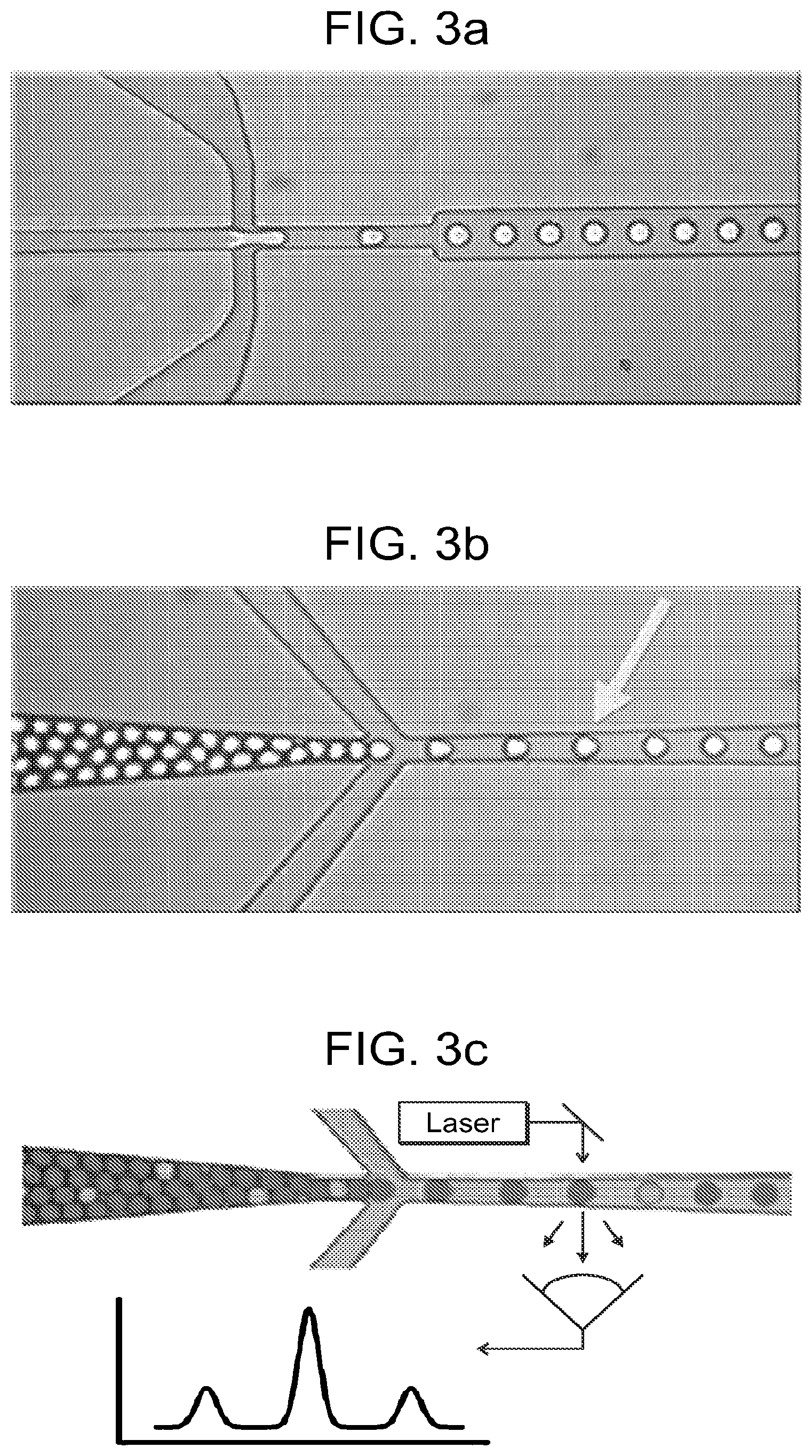 Patent US12378598 Figure 2 – Digital analyte analysis