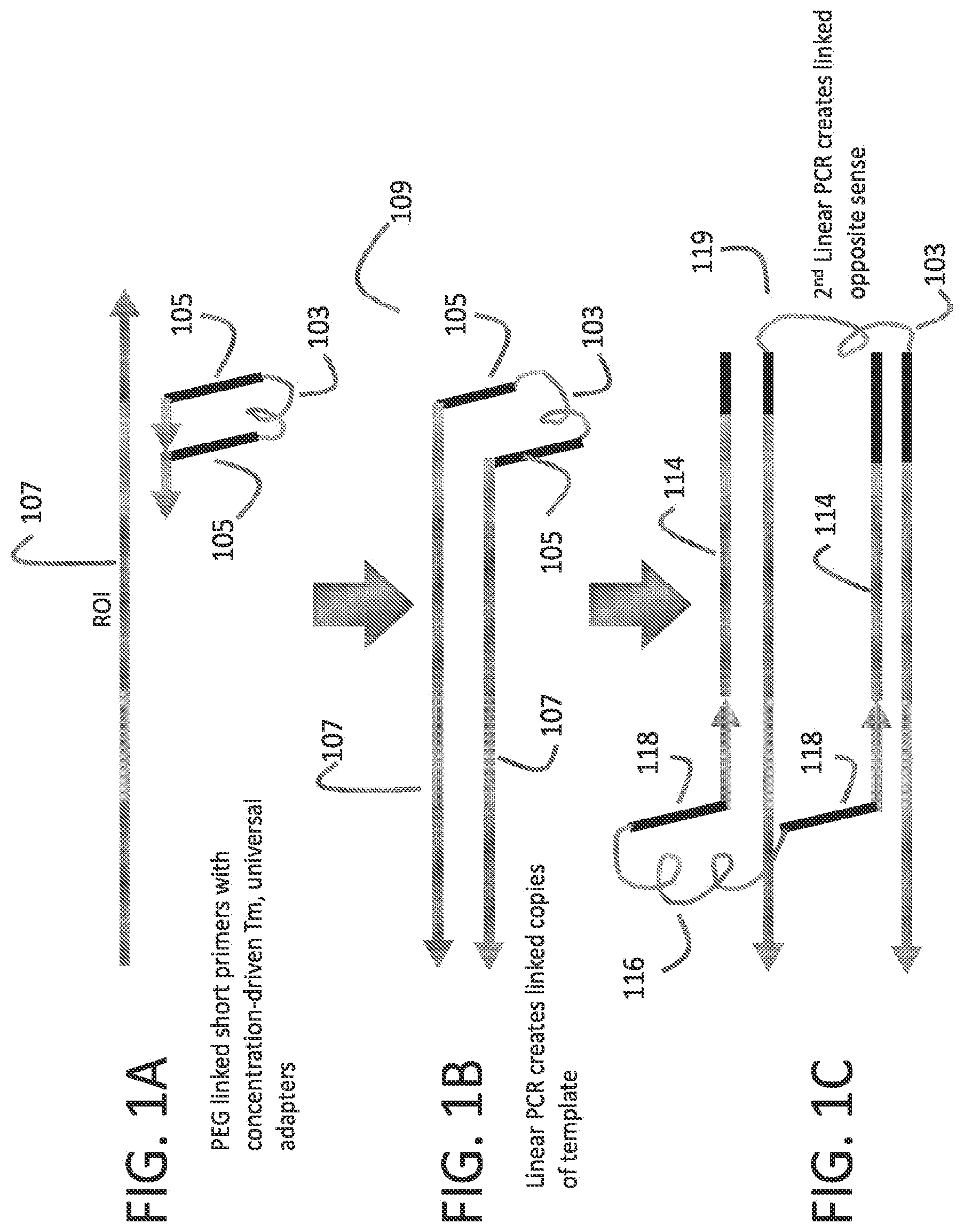 Patent US12378605 — Linked target capture — Figure 1