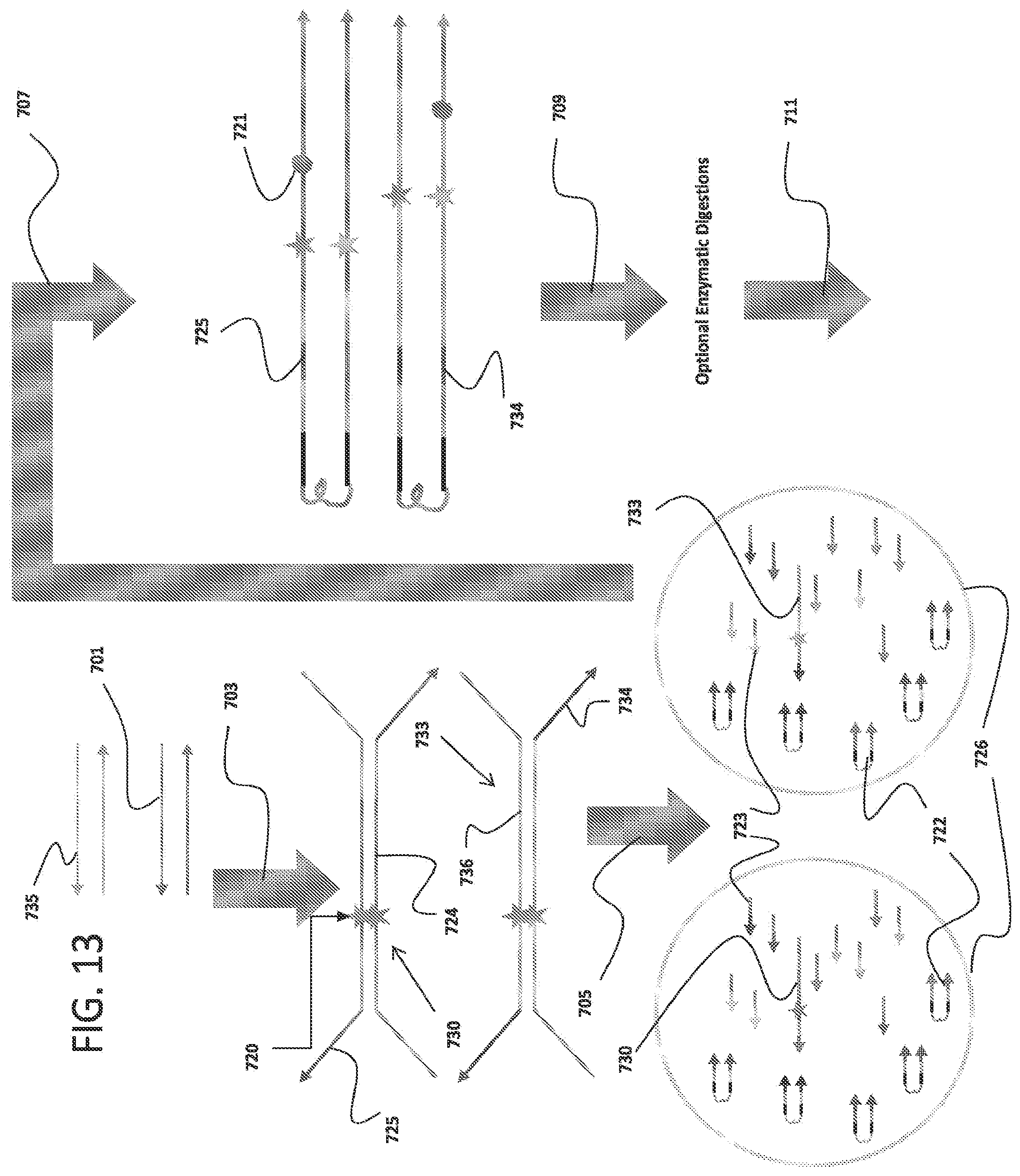 Patent US12378605 Figure 16 – Linked target capture