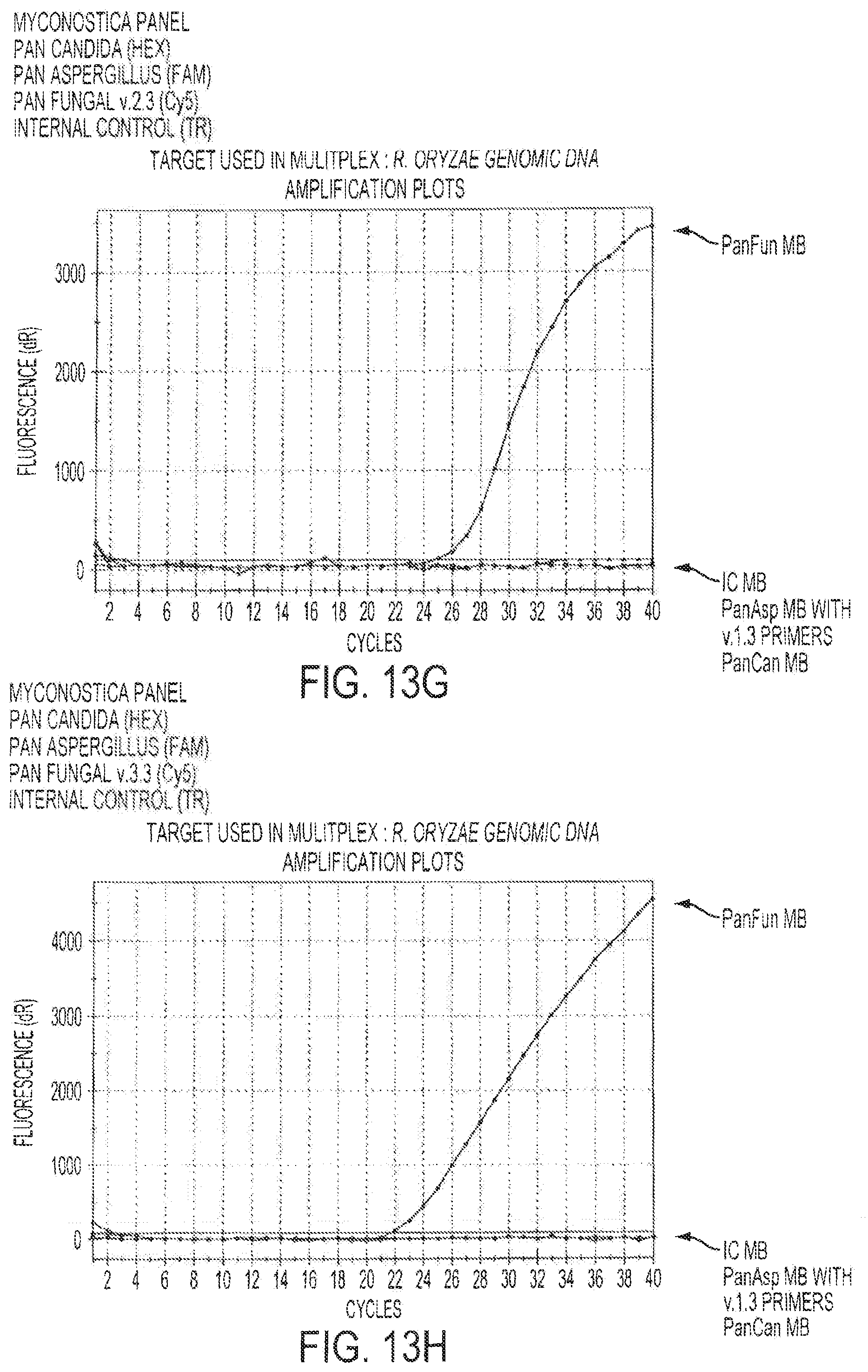 Patent US12378613 Figure 17 – Assays for fungal infection
