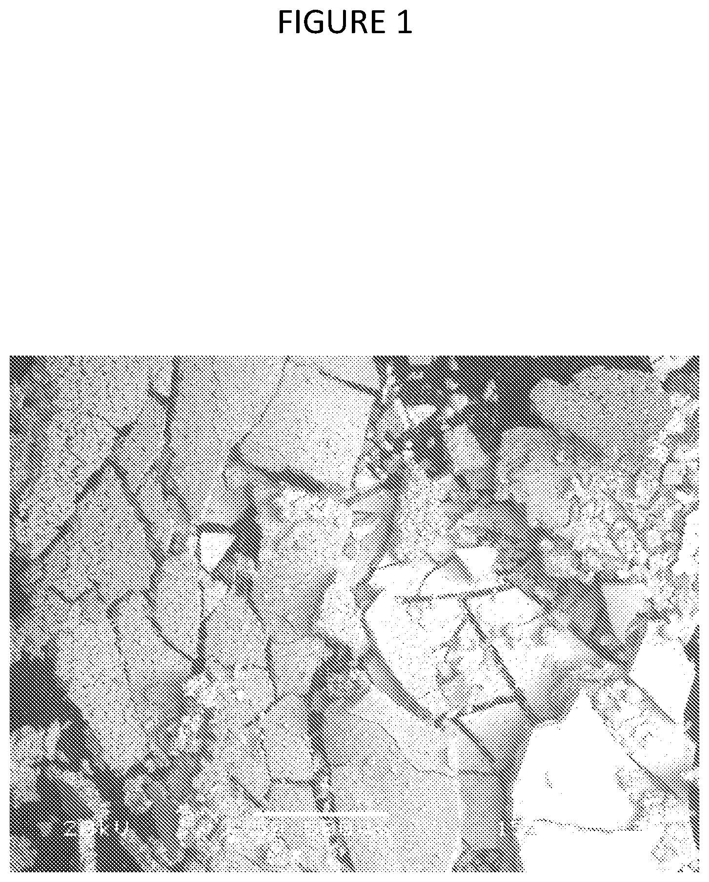 Patent US12378640 — Composition and method or recovering rare-earth elements — Figure 1