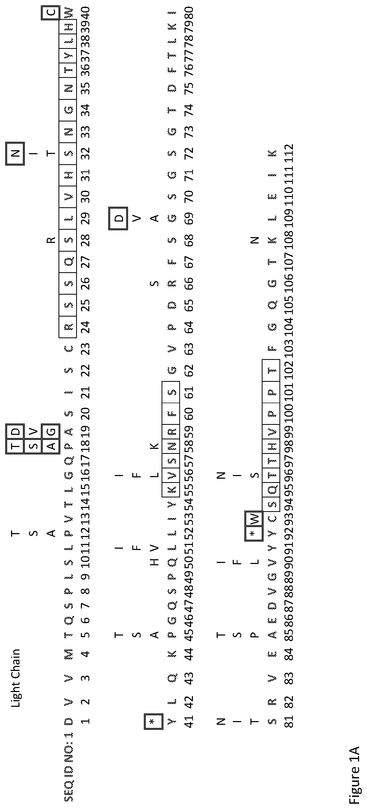 Patent US12378696 — Antibody library and method — Figure 1