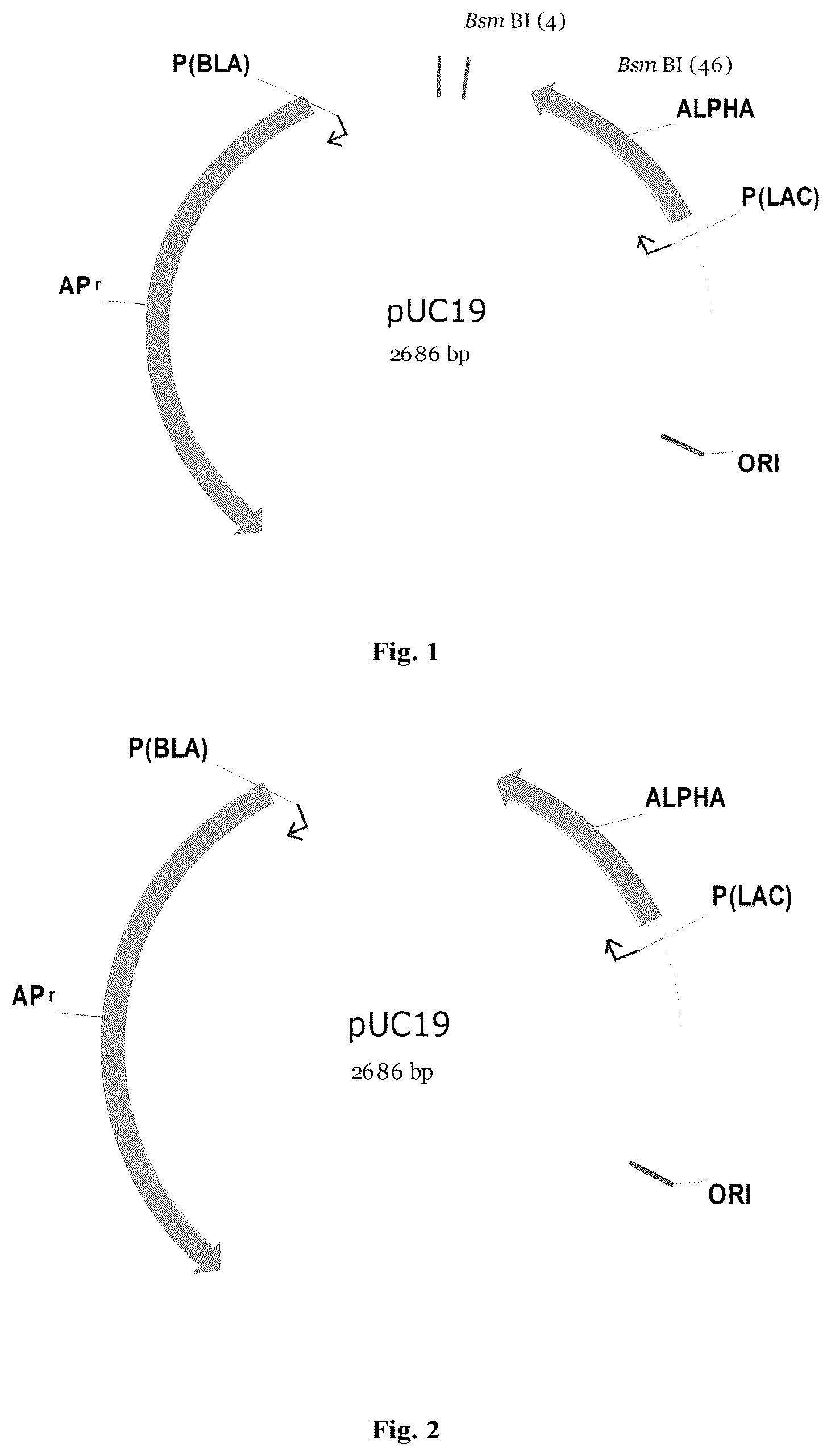 Patent US12378697 — Method for preparing phage library — Figure 1