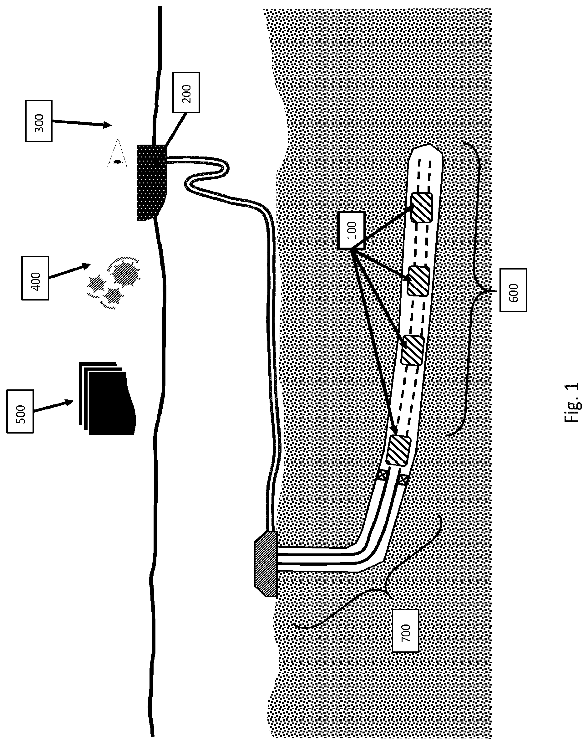 Patent US12378875 — Targeted tracer injection with online sensor — Figure 1