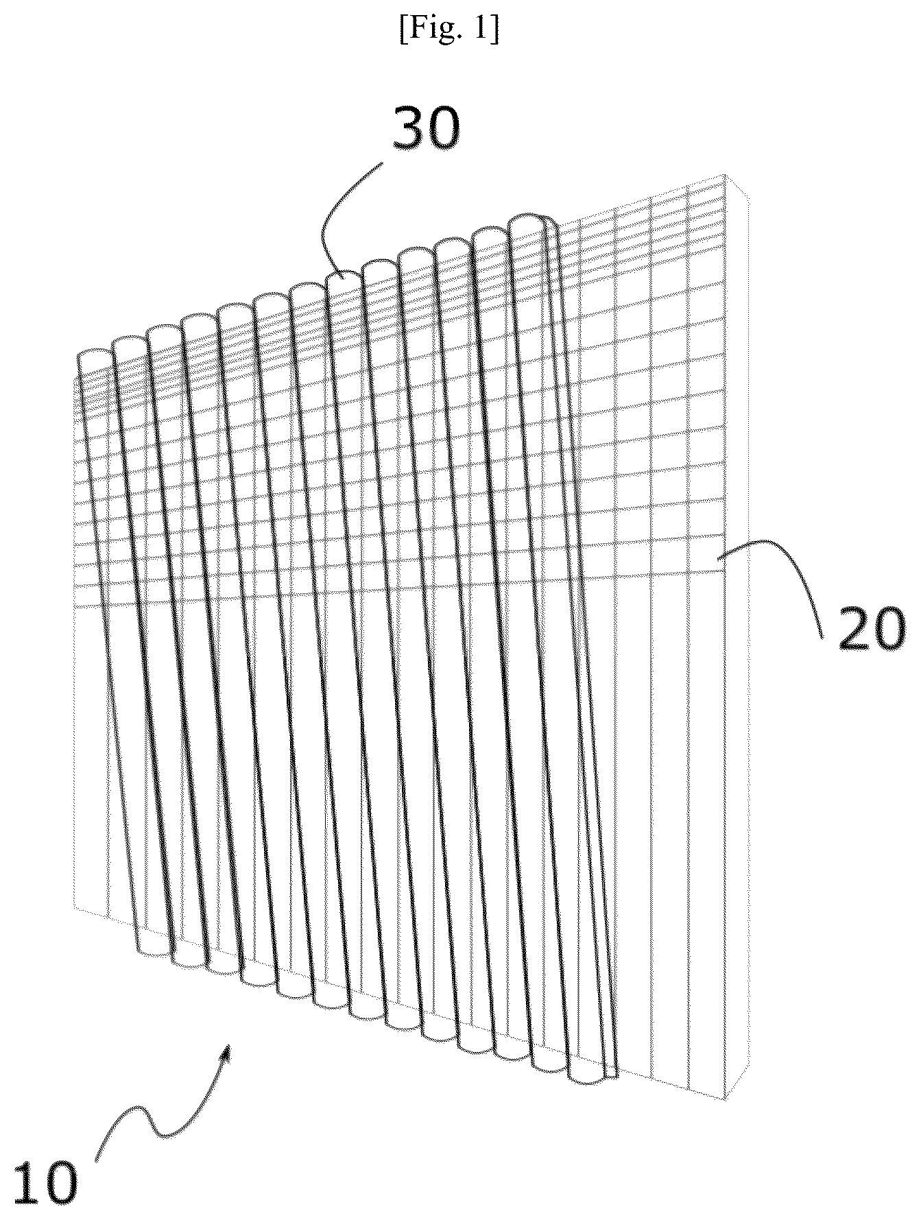 Patent US12386195 — Autostereoscopic screen, deemed to be of photographic quality — Figure 1