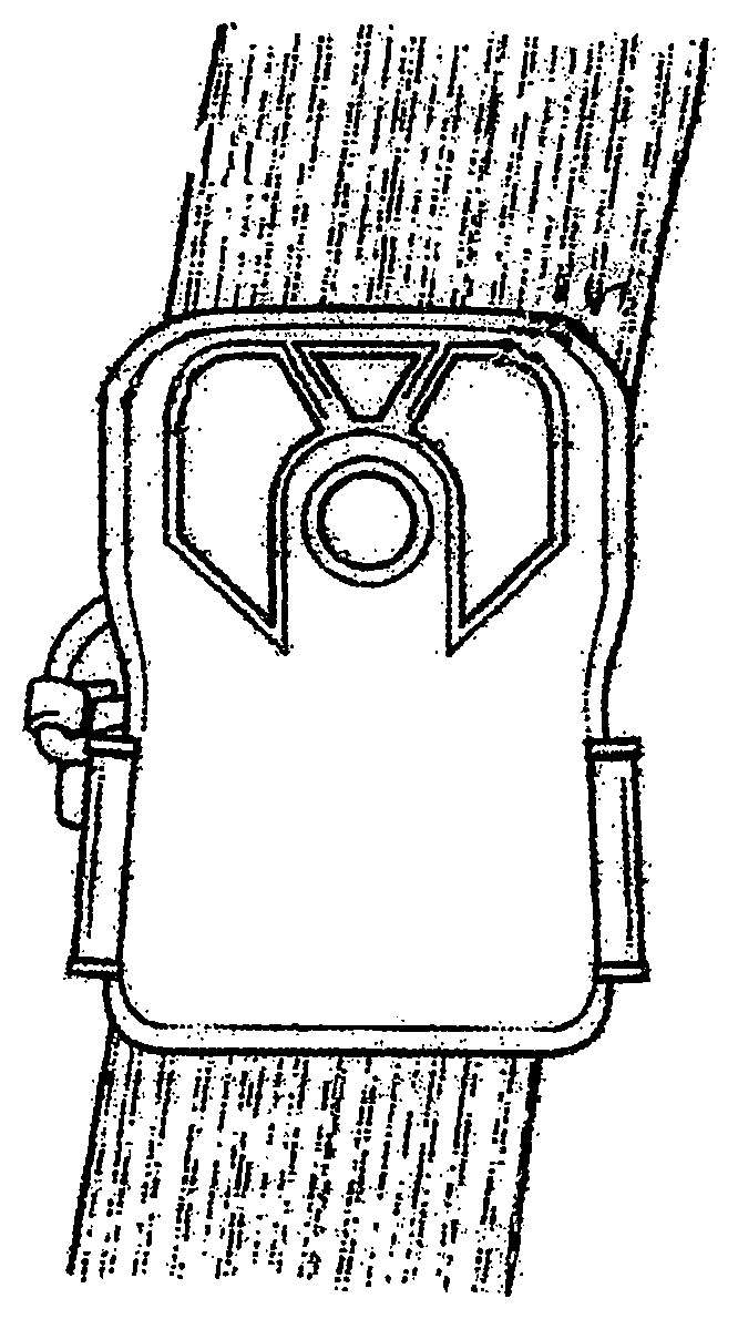 Patent US12395741 — Wildlife camera with optical zoom capability — Figure 1