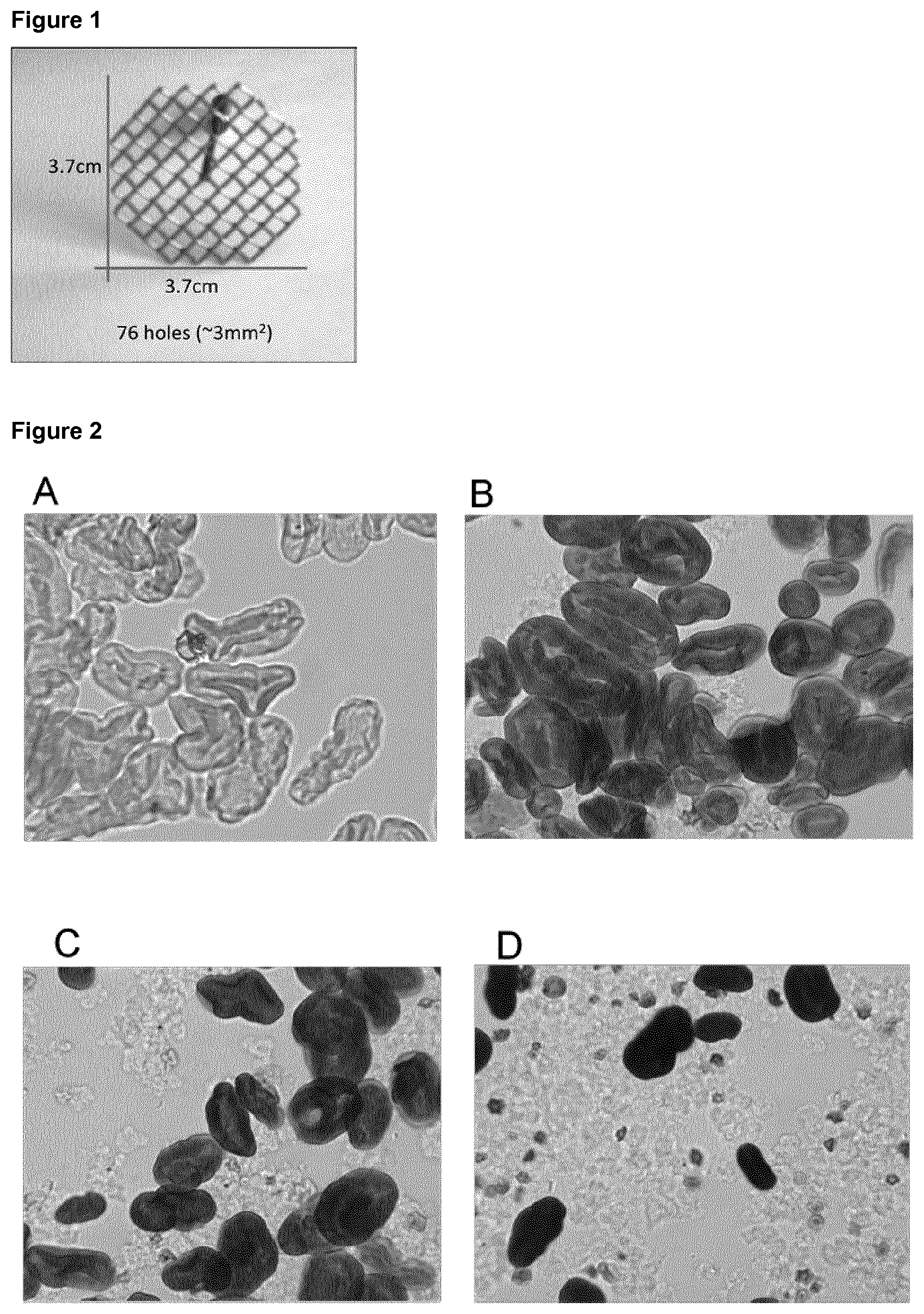 Patent US12396470 — Oil-in-water emulsion containing first flour and second flour high in amylopectin — Figure 1