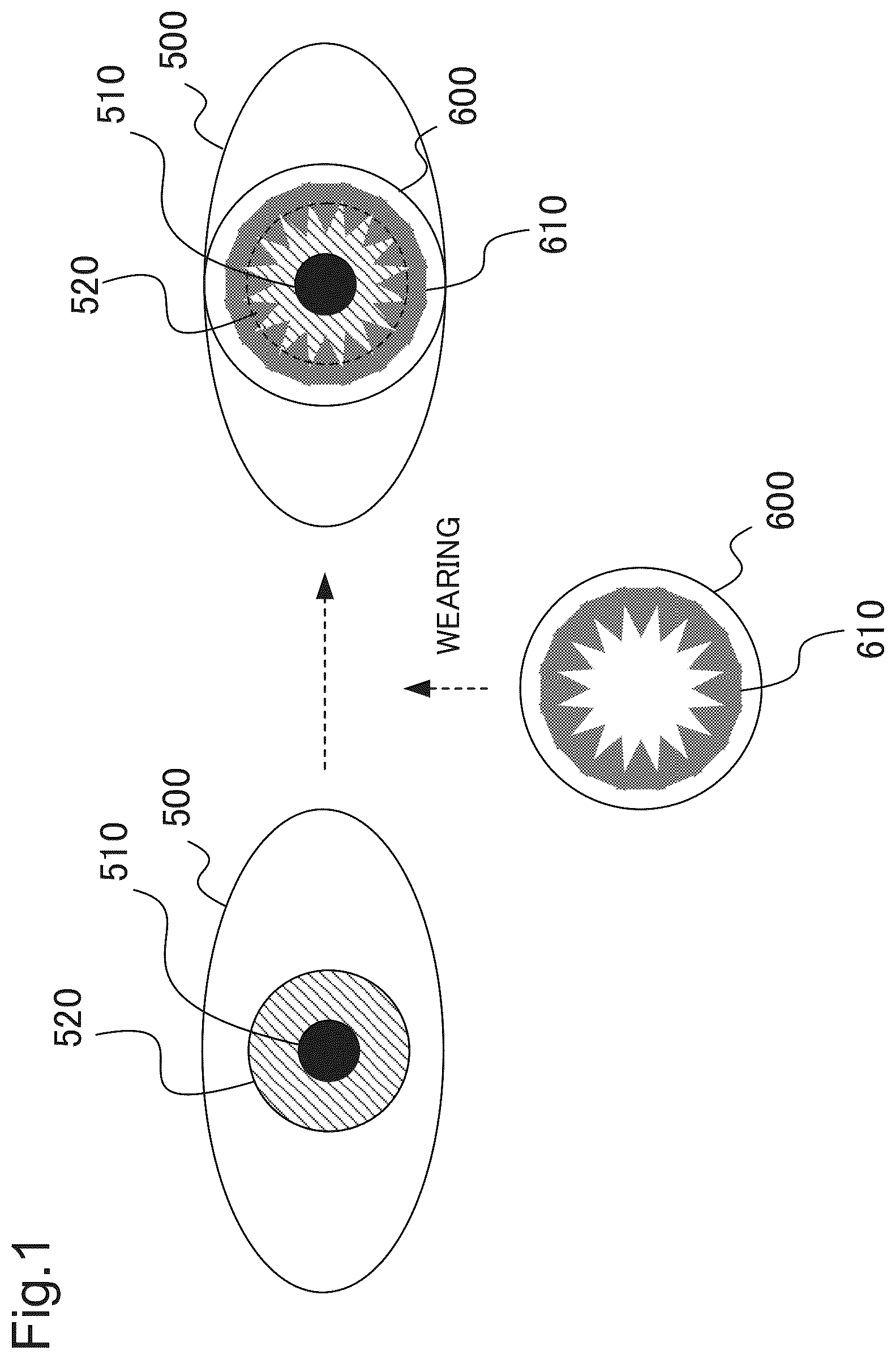 Patent US12396660 — Authentication device, authentication method, and recording medium — Figure 1