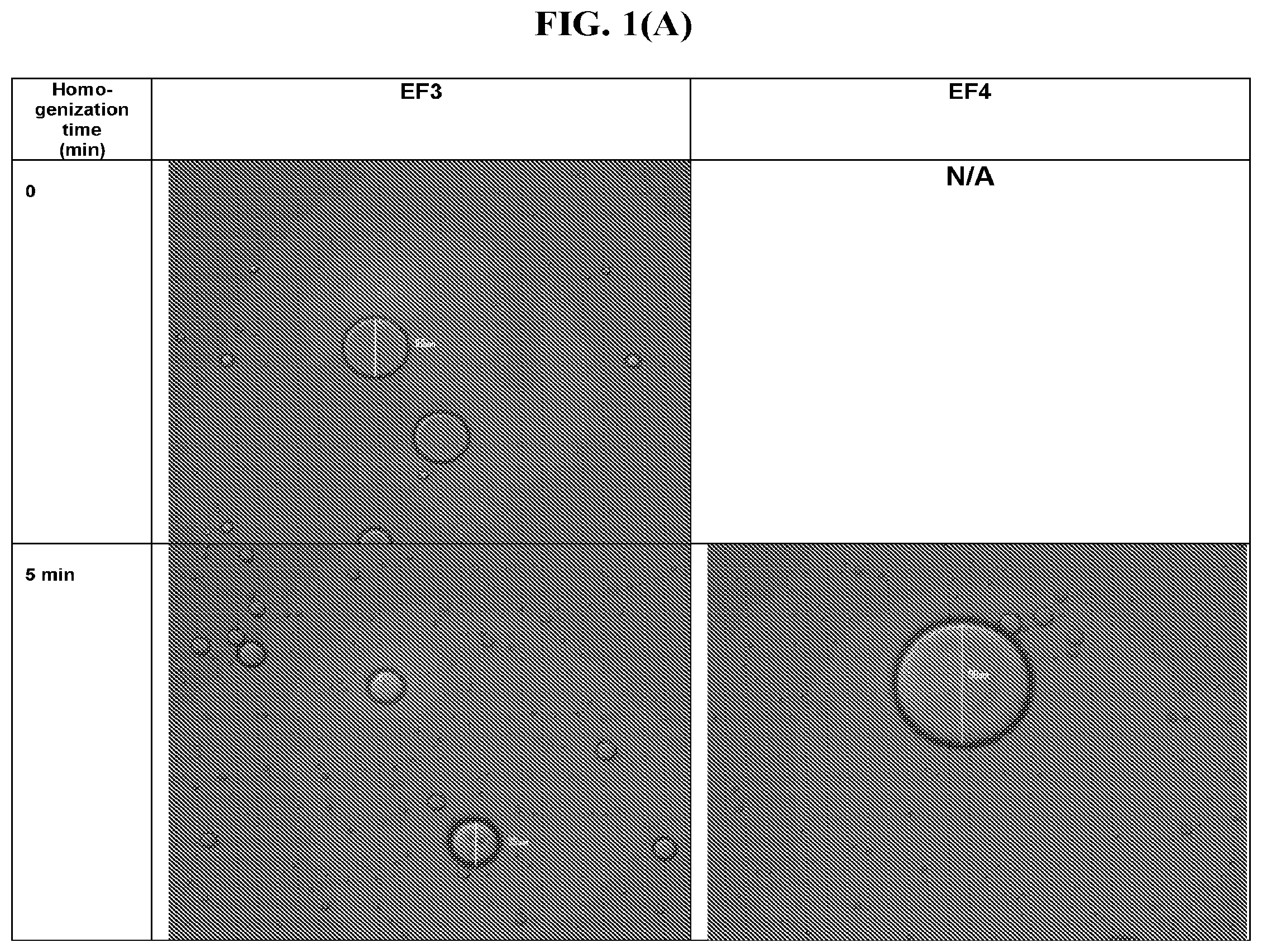 Patent US12396948 — Pharmaceutical compositions for the treatment of ophthalmic conditions — Figure 1