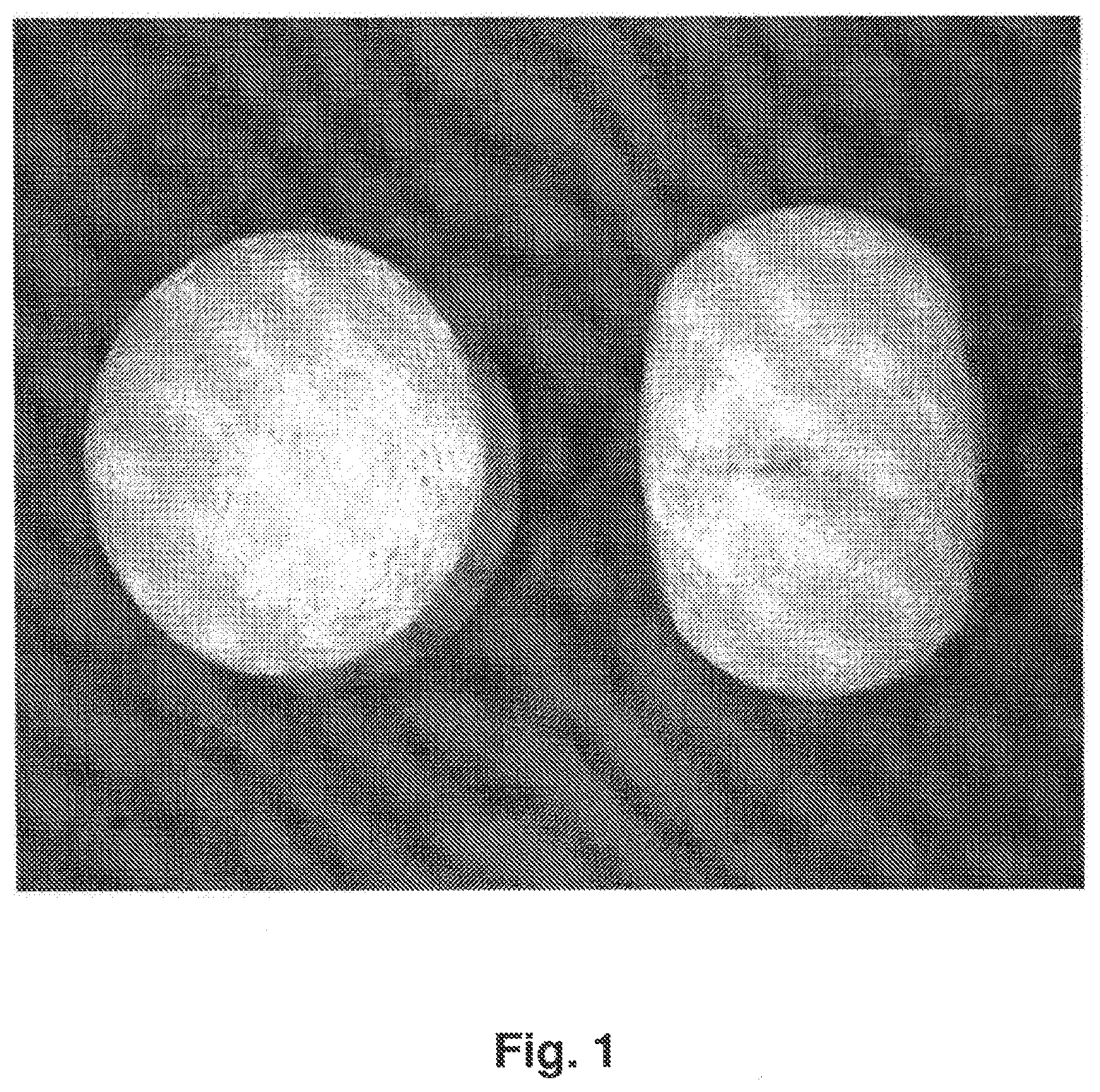 Patent US12396955 — Tamper resistant dosage forms — Figure 1