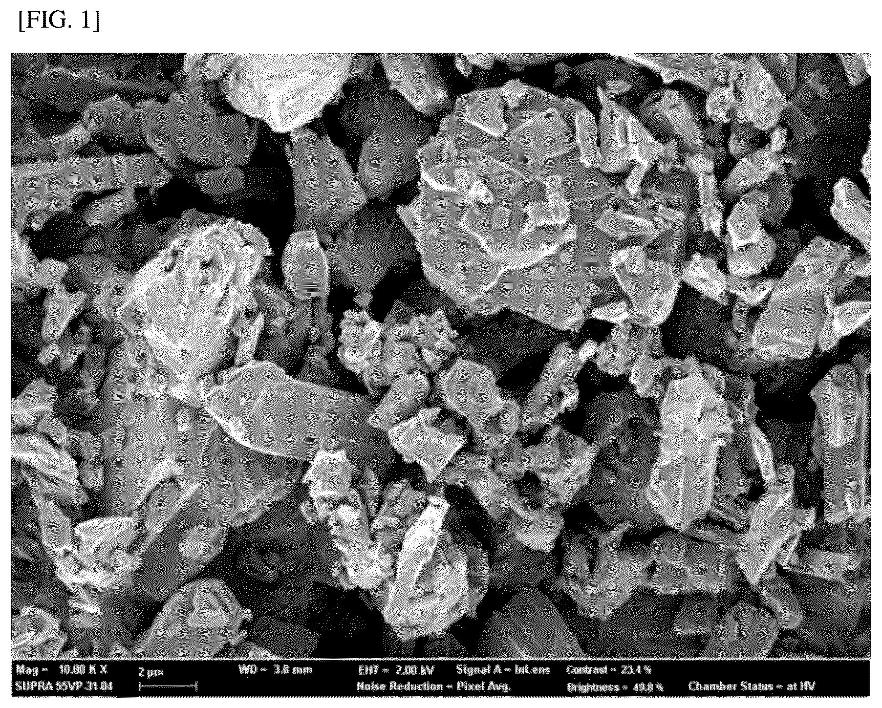 Patent US12396985 — Composition for oral administration with controlled release properties comprising complex of clay minerals, method for preparing same, and method for controlling release properties — Figure 1