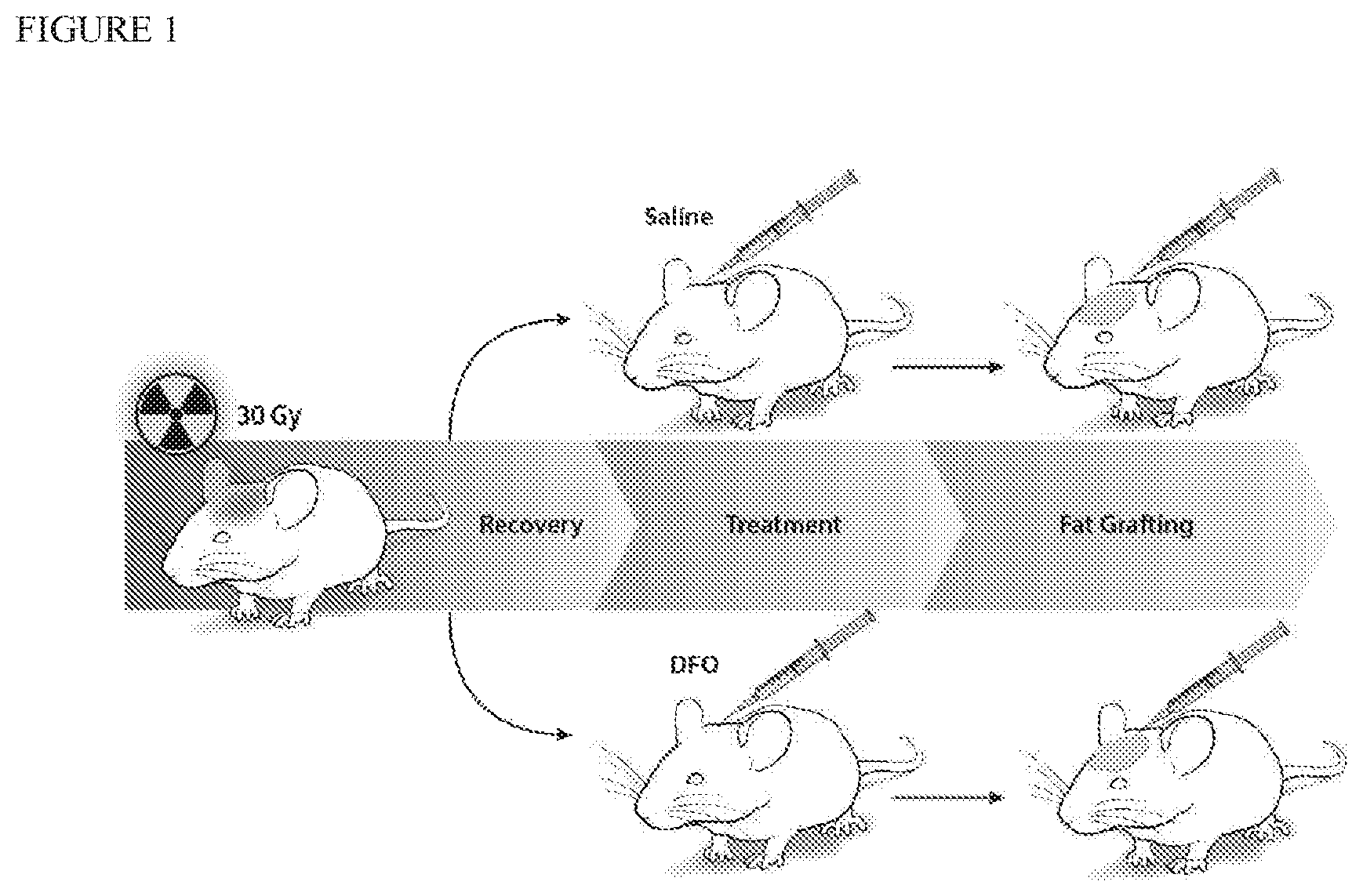 Patent US12403106 — Prophylactic skin treatment for radiation therapy — Figure 1