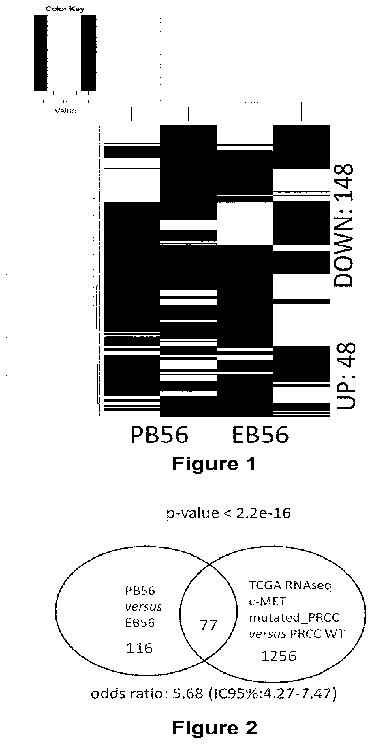 Patent US12403110 — Methods and compositions for treating cancers — Figure 1