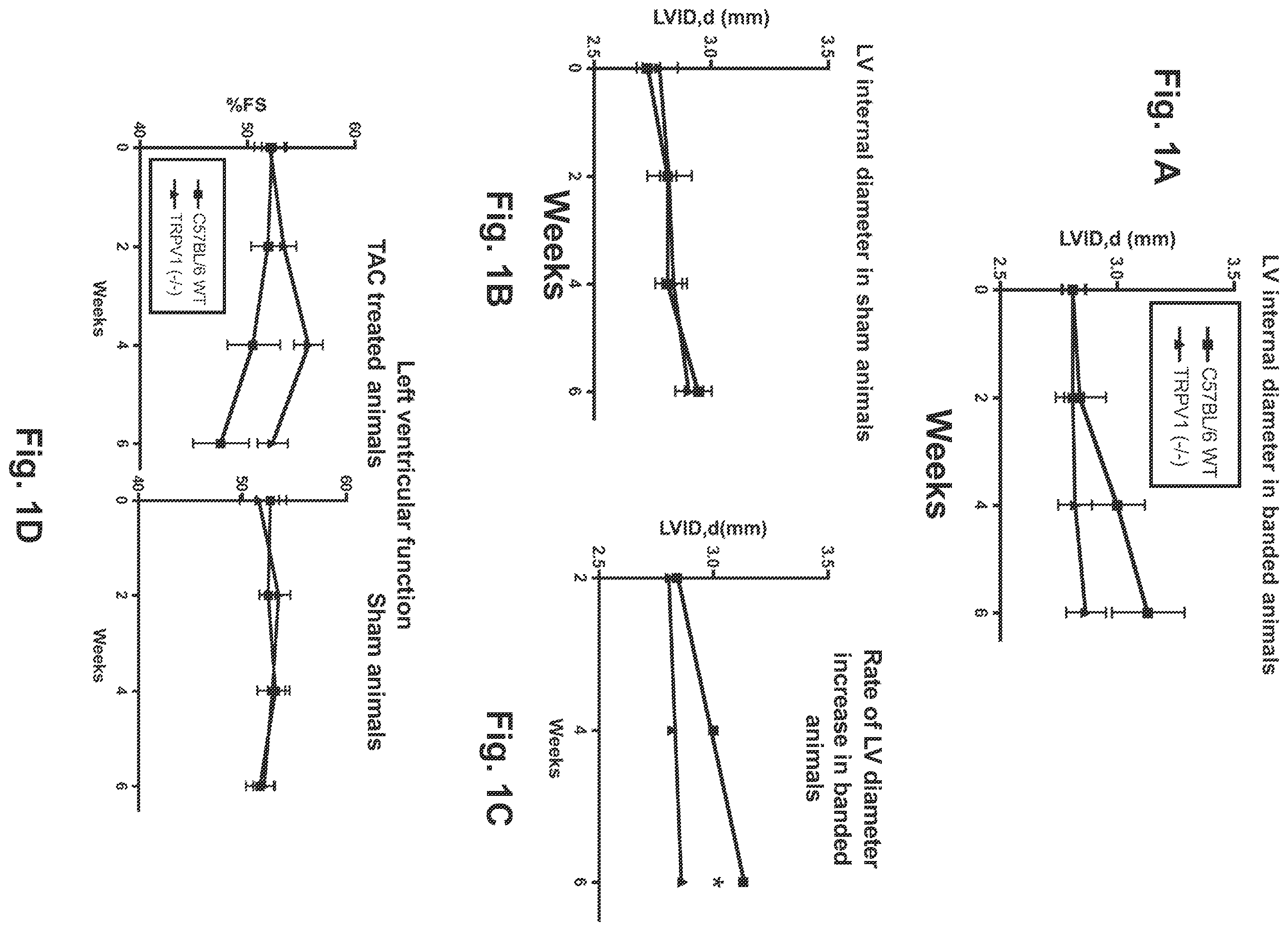 Patent US12403139 — Methods and compositions for prevention and treatment of cardiac hypertrophy — Figure 1