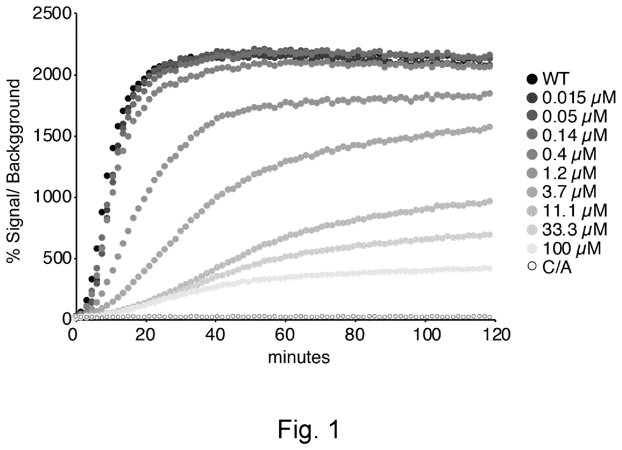 Patent US12403144 — HECT E3 ligase inhibitors and uses thereof — Figure 1