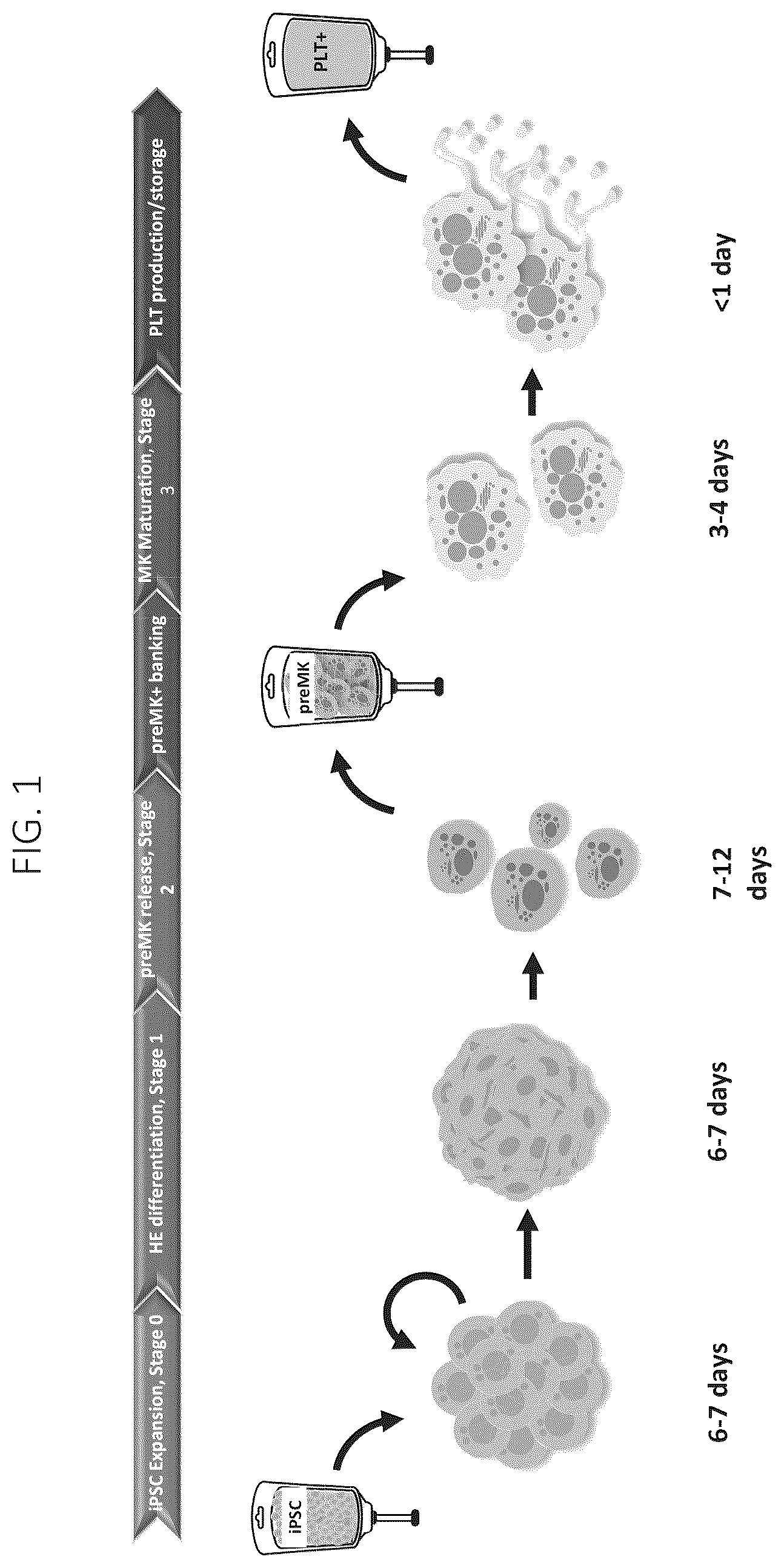 Patent US12403161 Figure 1 – Compositions for drug delivery and methods of use thereof