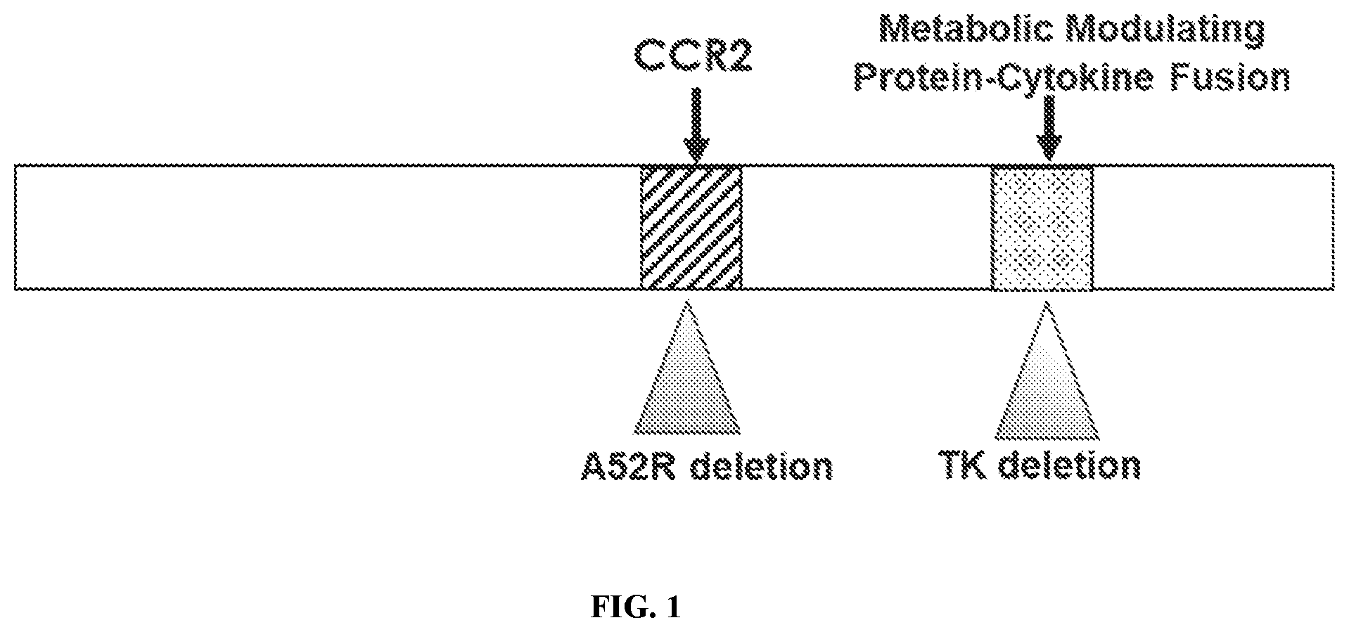 Patent US12403165 — Oncolytic immunotherapy by tumor micro-environment remodeling — Figure 1