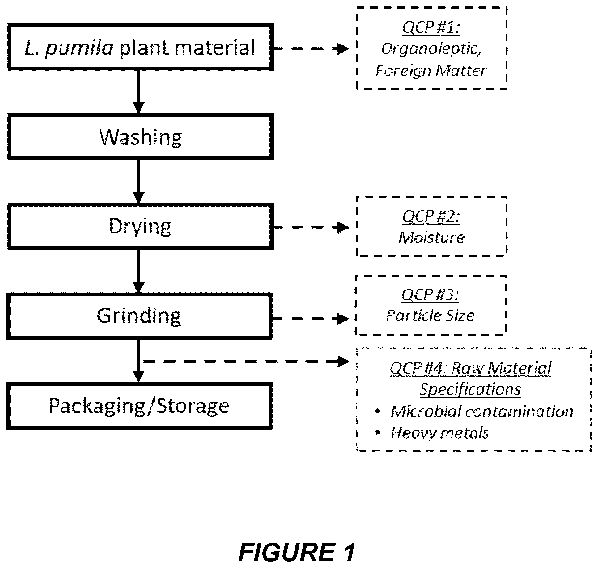 Patent US12403166 — Labisia pumila extract composition and its pharmaceutical formulation — Figure 1