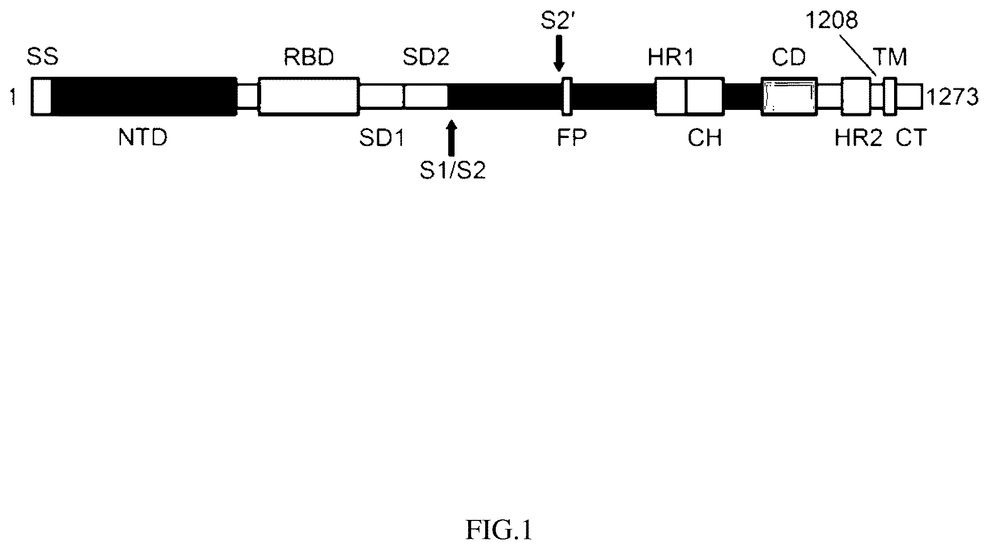 Patent US12403190 Figure 1 – Coronavirus vaccine and methods of use thereof