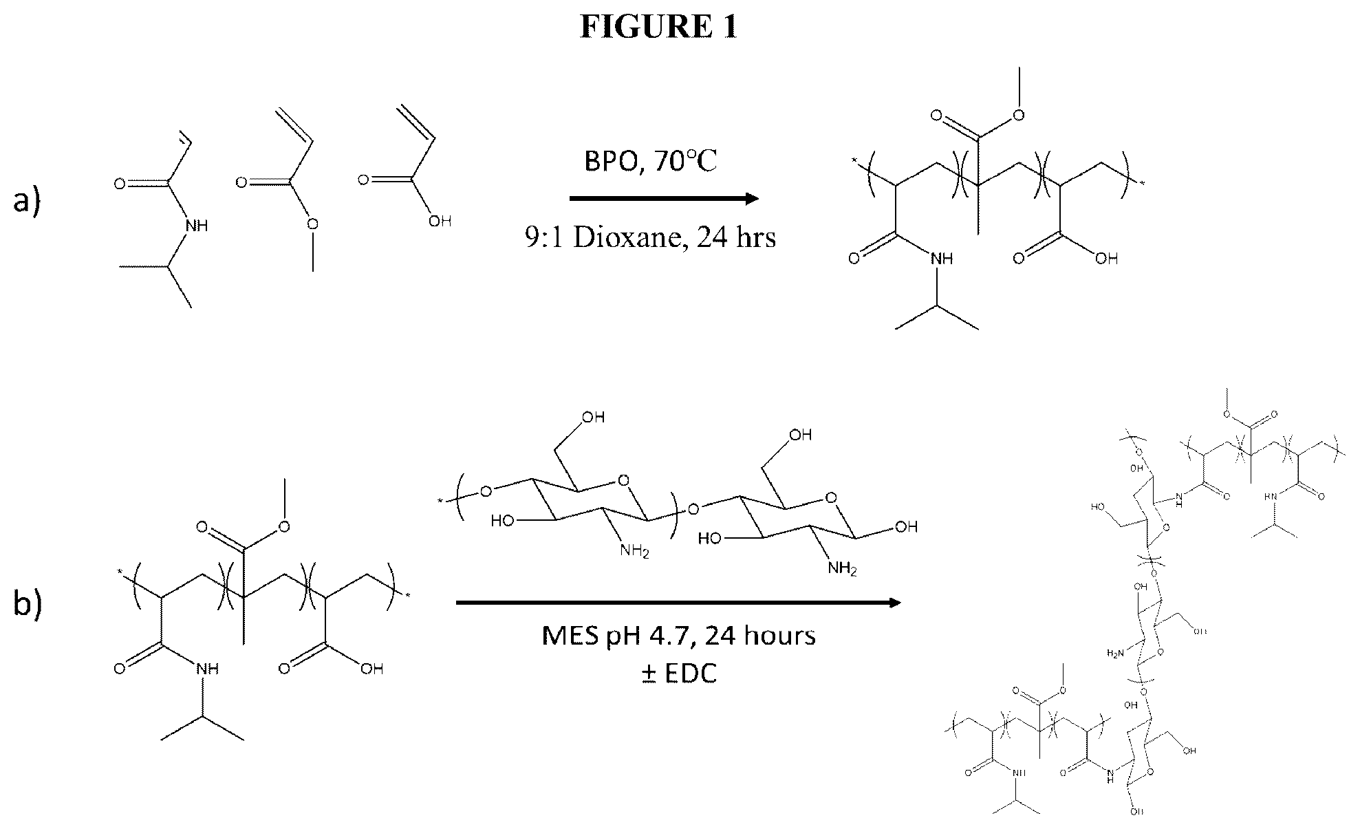 Patent US12403197 — Polymer system for ophthalmic drug delivery — Figure 1