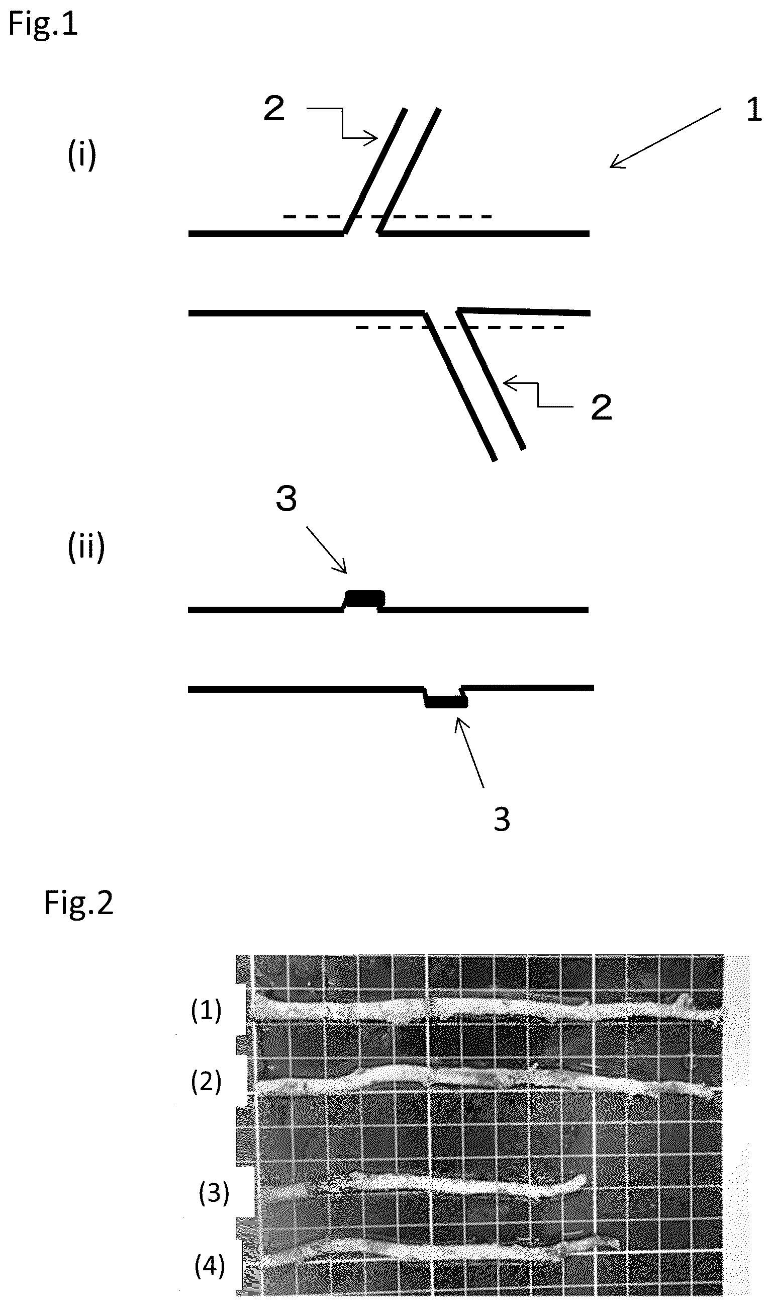 Patent US12403219 — Method for producing decellularized material for transplantation and graft composition consisting of biocompatible material including said material — Figure 1