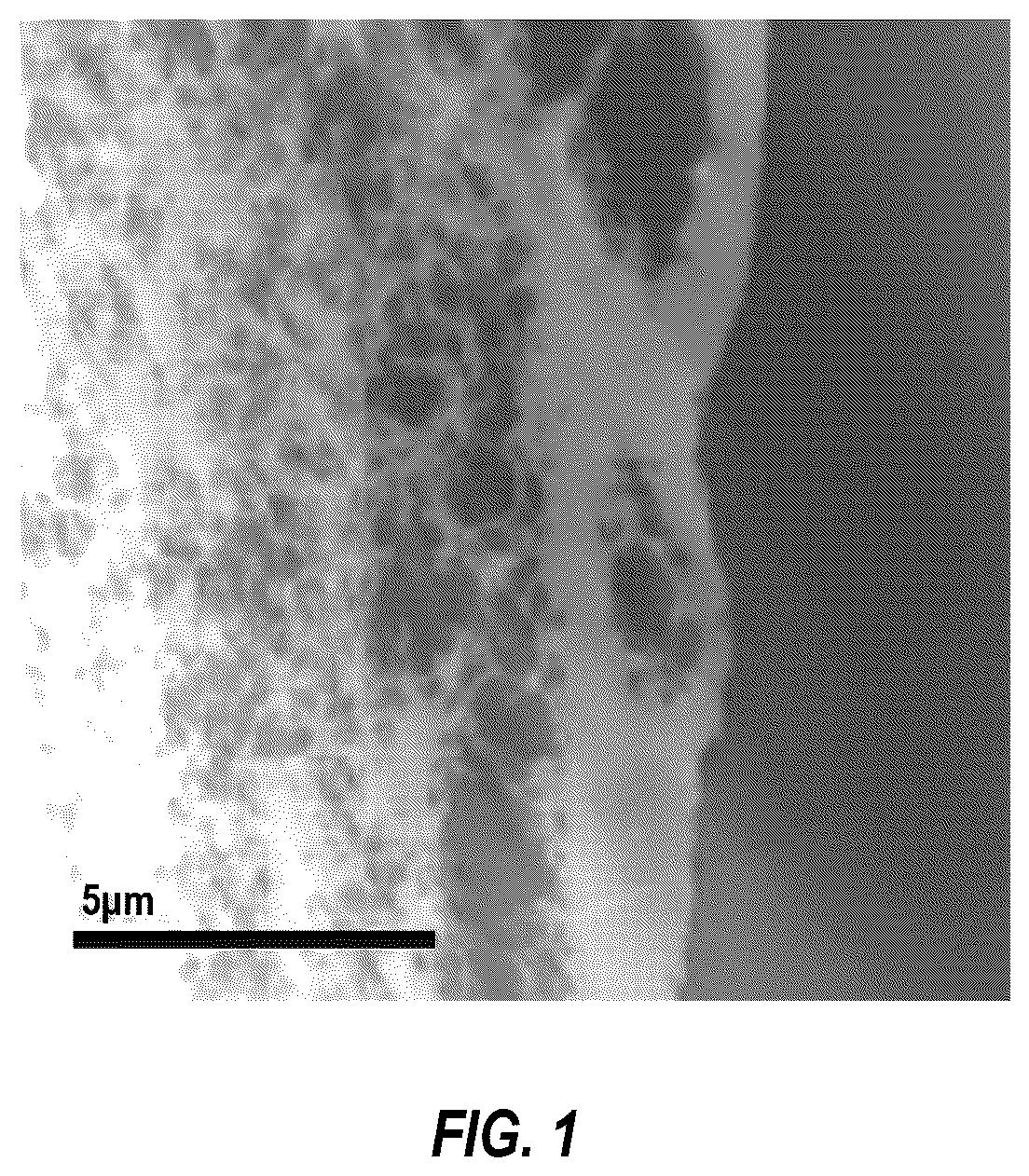 Patent US12403225 Figure 1 – Fiber spinning processes for applying metal nanoparticles to polymer devices
