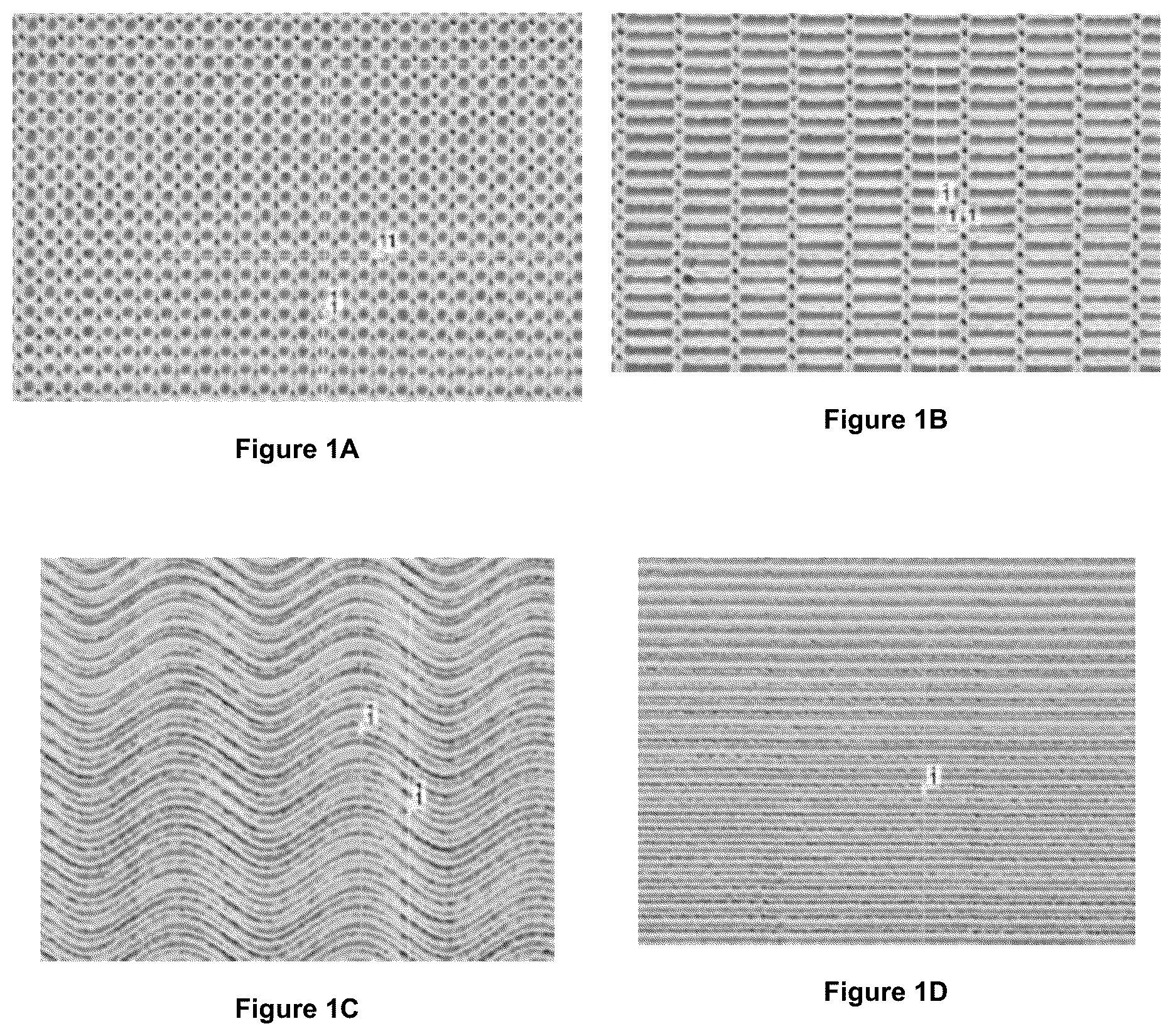Patent US12403300 — Electrode for a medical device — Figure 1