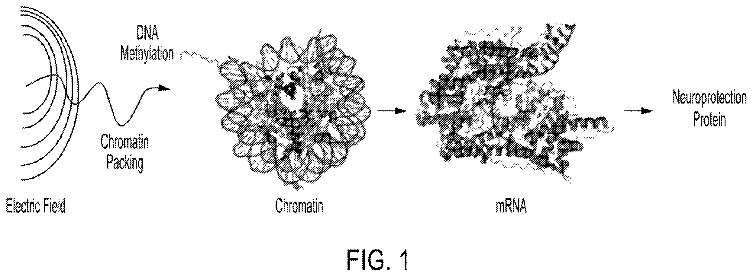 Patent US12403311 Figure 1 – System and method to induce epigenetic changes to the cells and tissue of the eye and orbit