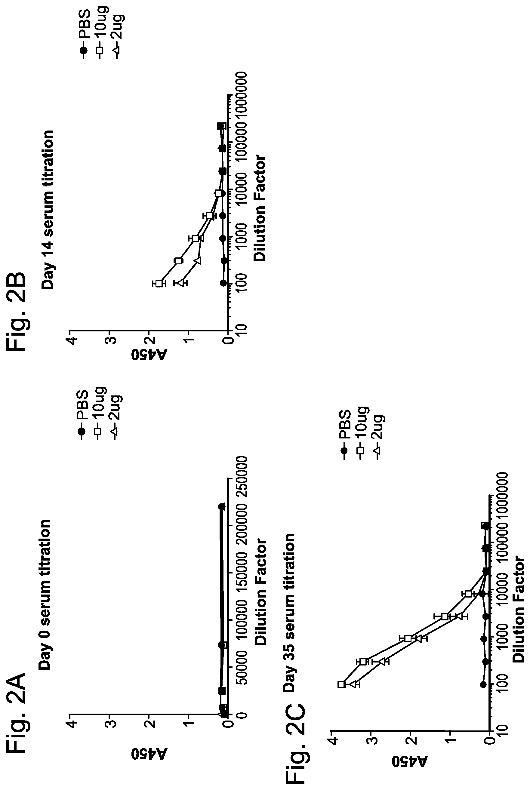 Patent US12403336 Figure 2 – Betacorona virus mRNA vaccines