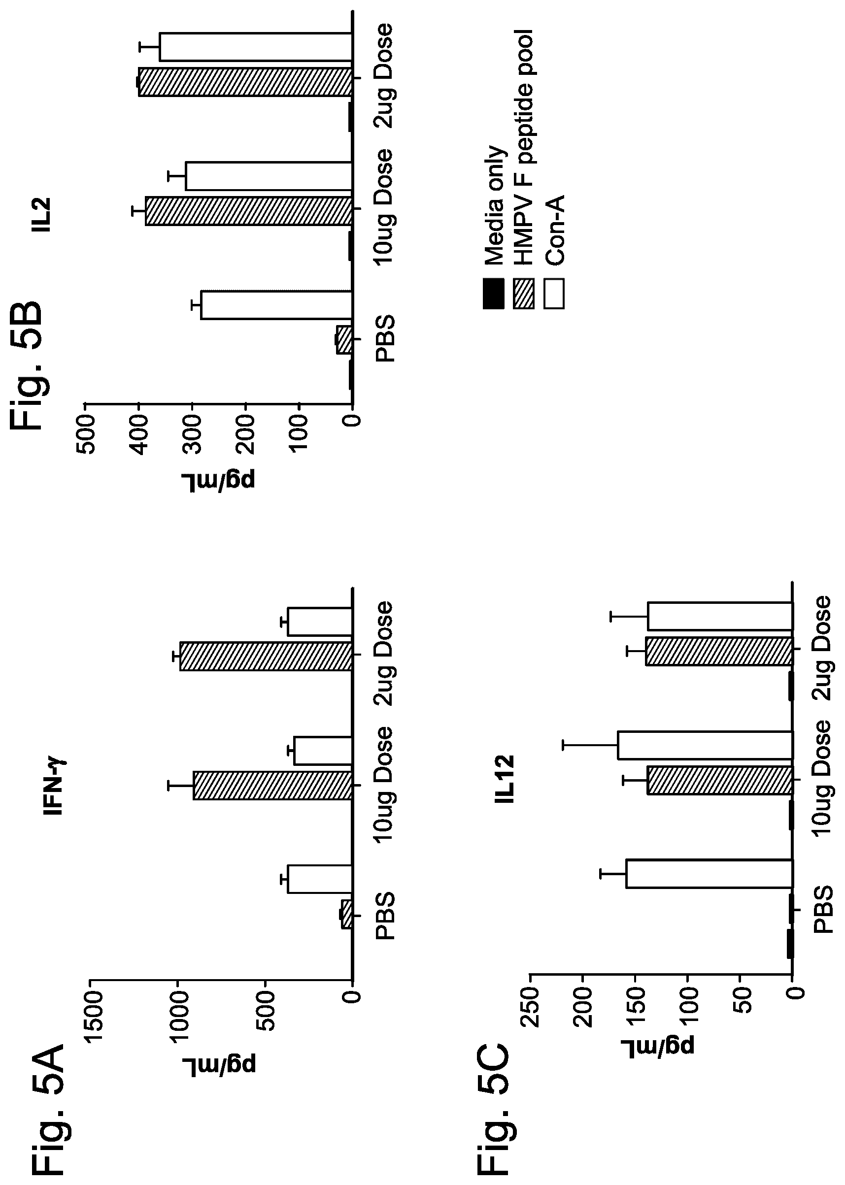 Patent US12403336 Figure 5 – Betacorona virus mRNA vaccines