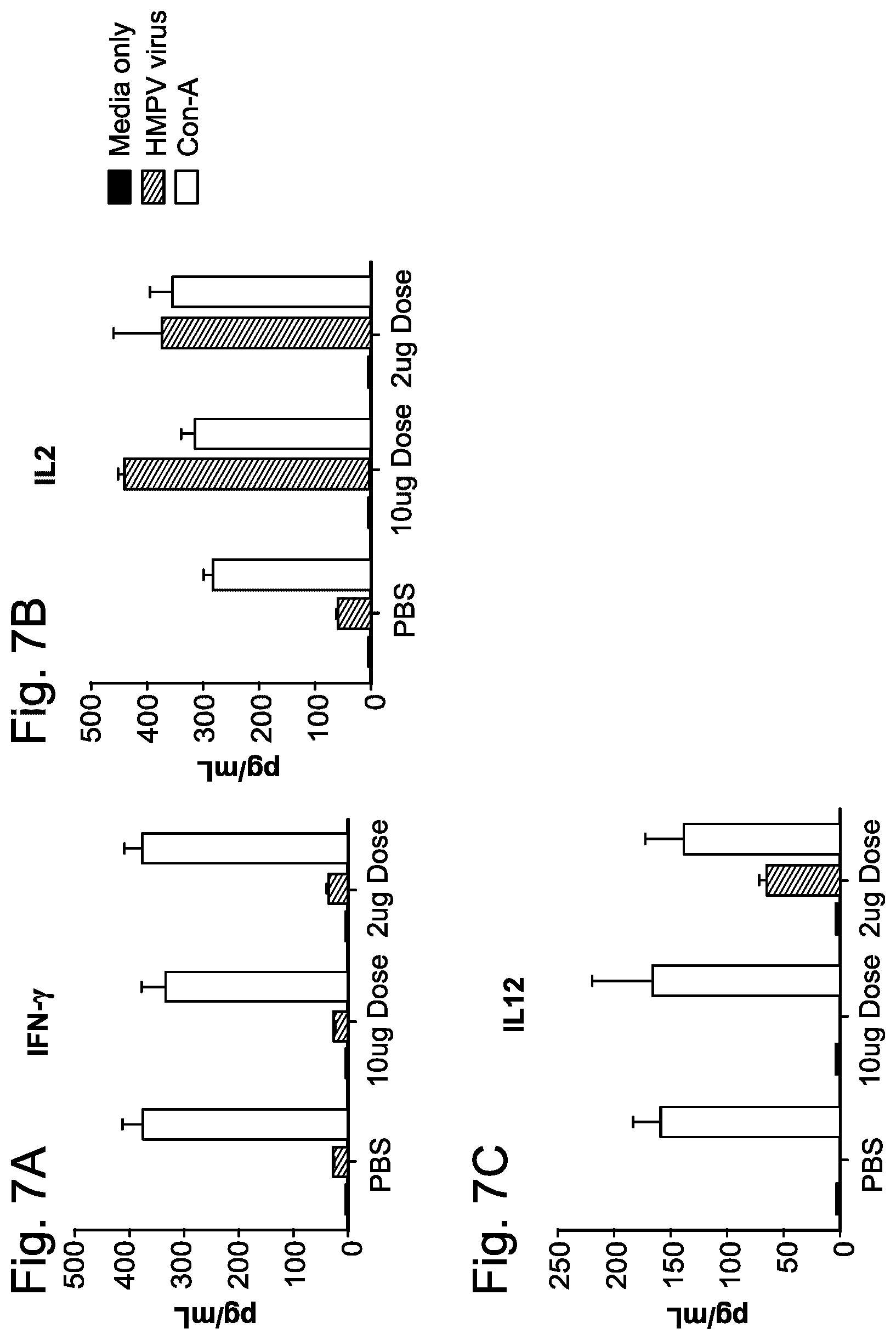 Patent US12403336 Figure 7 – Betacorona virus mRNA vaccines