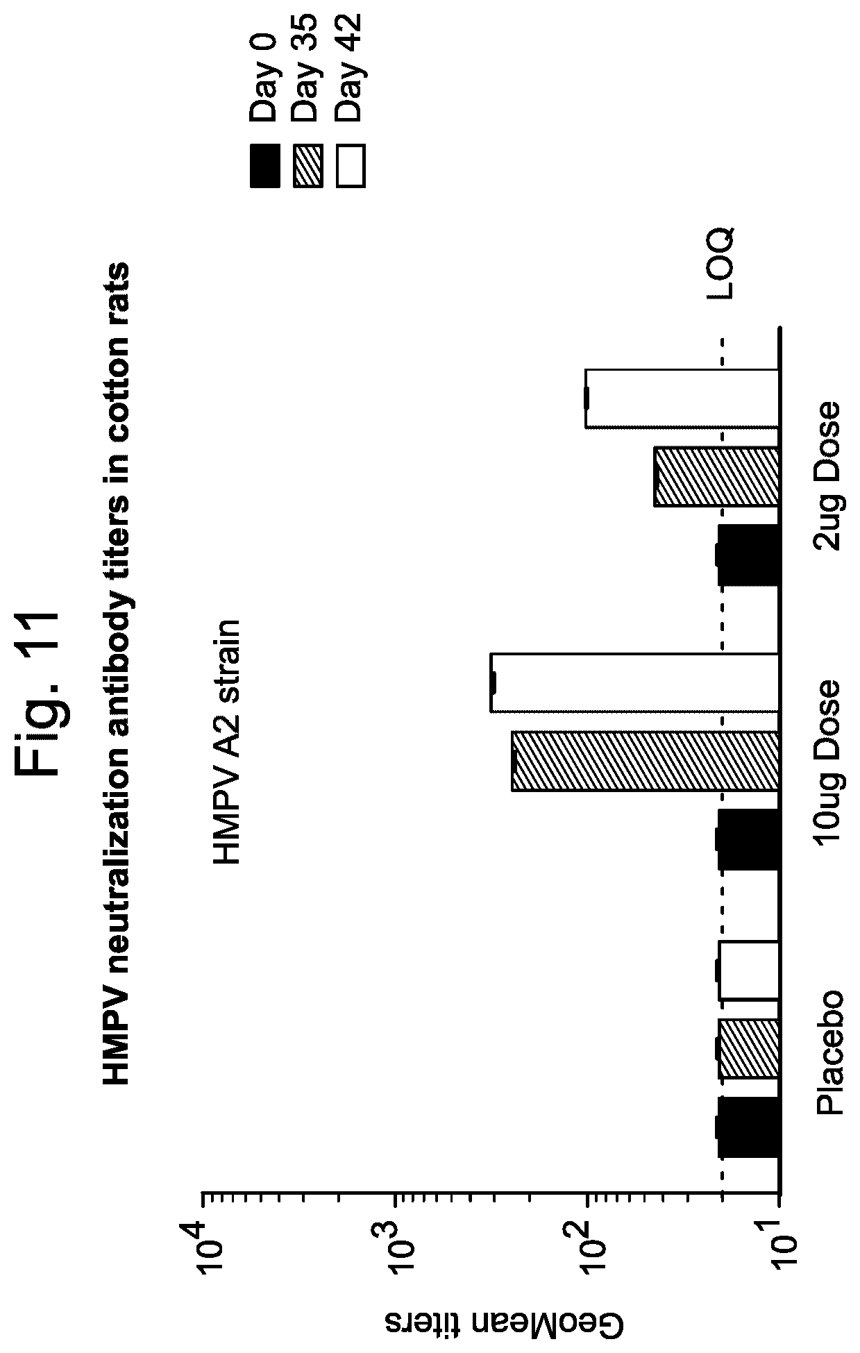 Patent US12403336 Figure 11 – Betacorona virus mRNA vaccines
