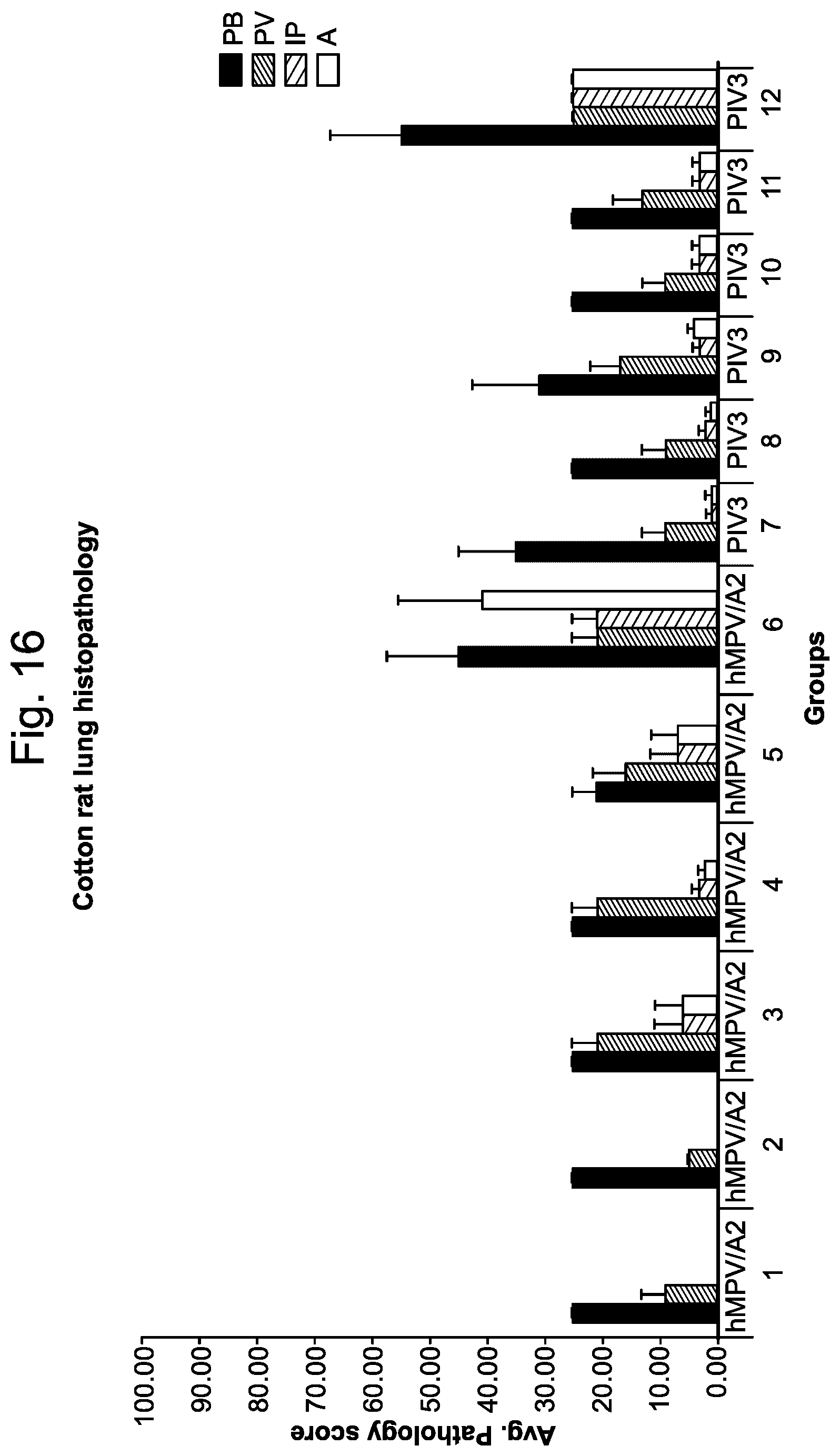 Patent US12403336 Figure 16 – Betacorona virus mRNA vaccines