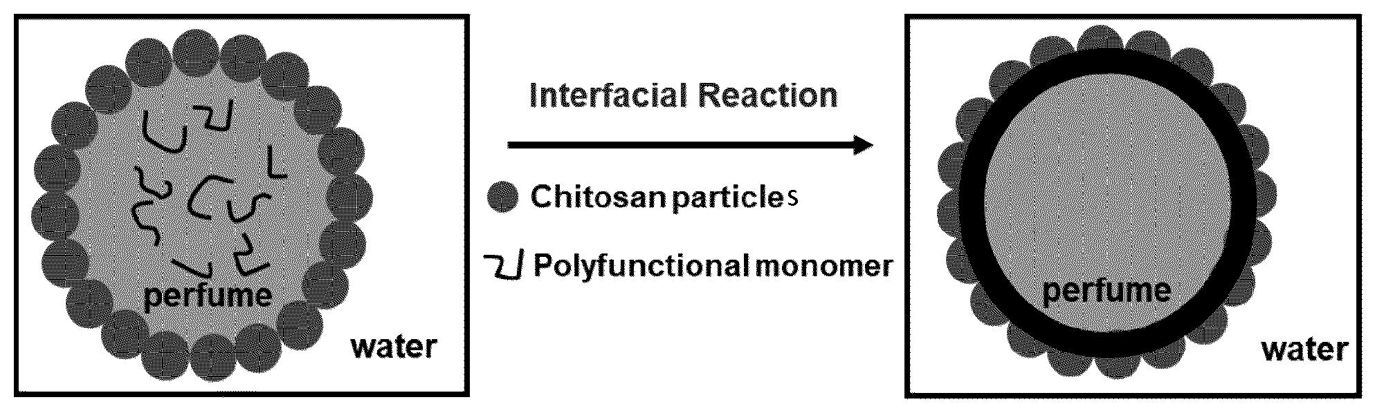 Patent US12403443 — Hybrid microcapsules — Figure 1