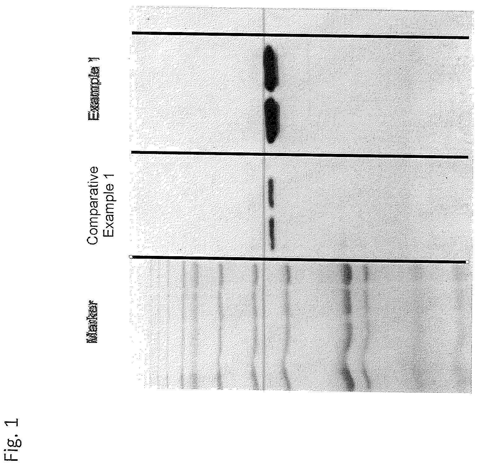 Patent US12403461 — Solid-phase chelator material, method for producing thereof and use thereof for the purification of proteins — Figure 1