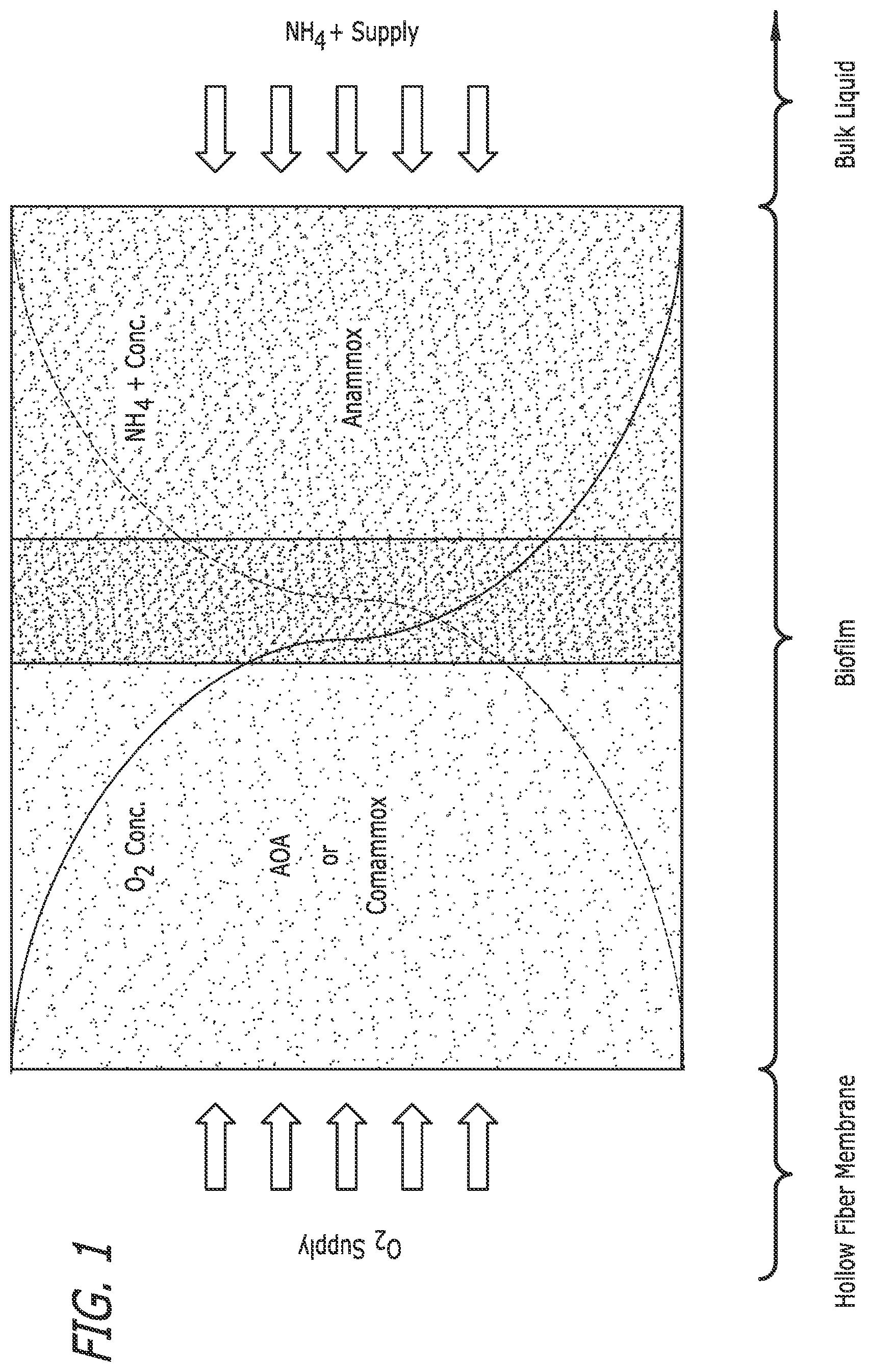 Patent US12410083 — Microbe-based systems, compositions, and methods thereof — Figure 1