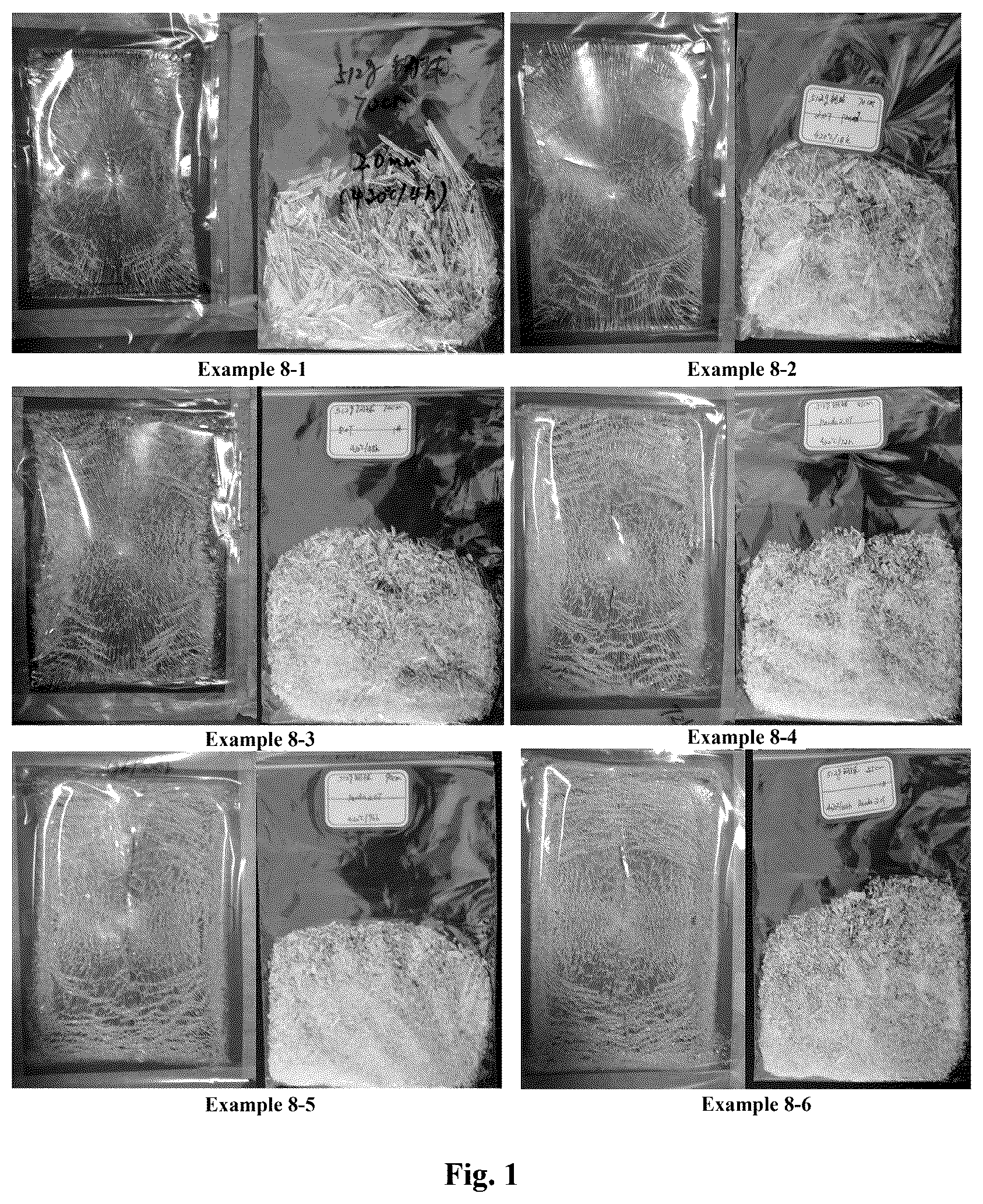 Patent US12410089 Figure 1 – Protective glass plate with the property of impact stress resistance