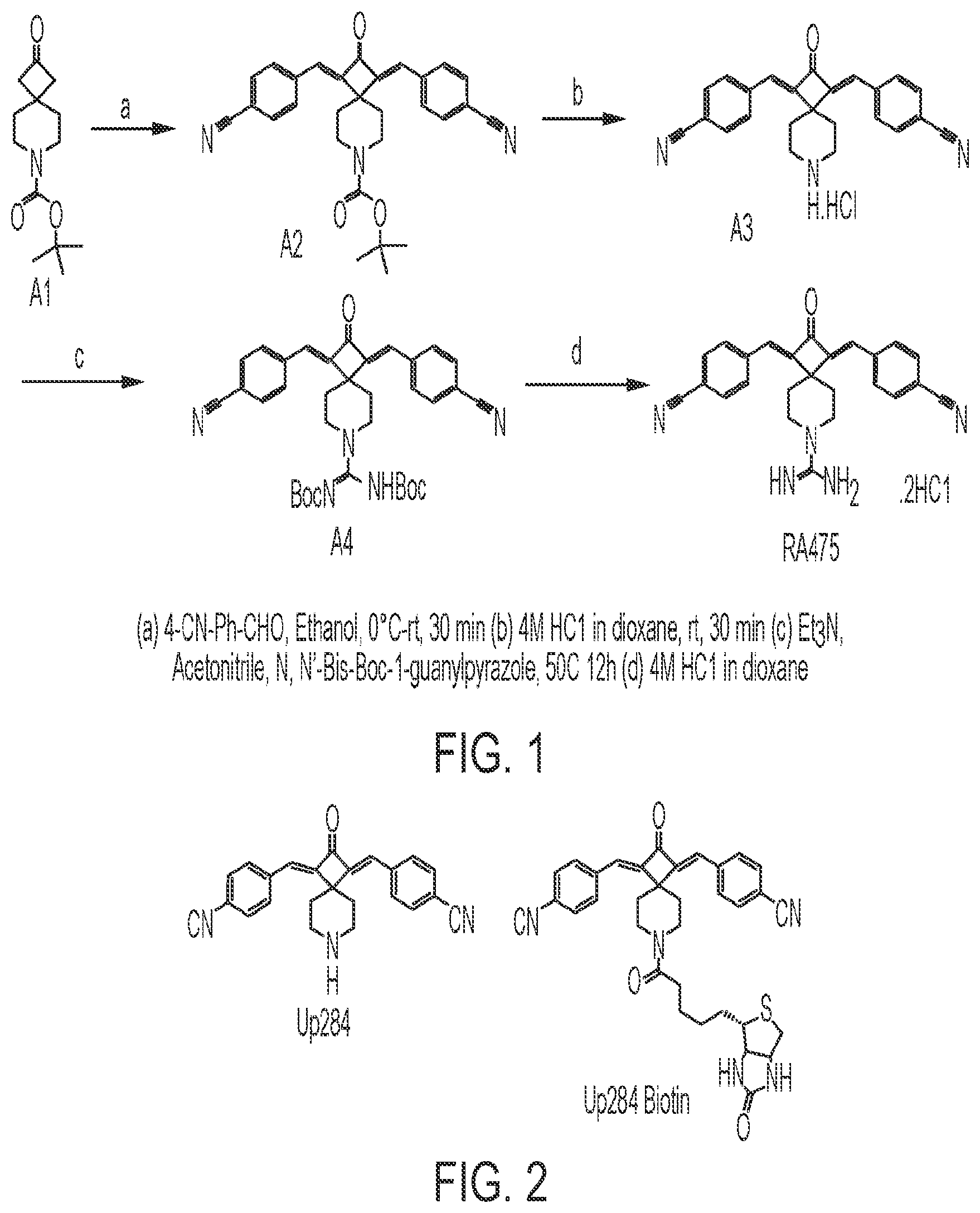 Patent US12410141 — Anti-cancer spirocyclic-guanidine compounds and uses thereof — Figure 1