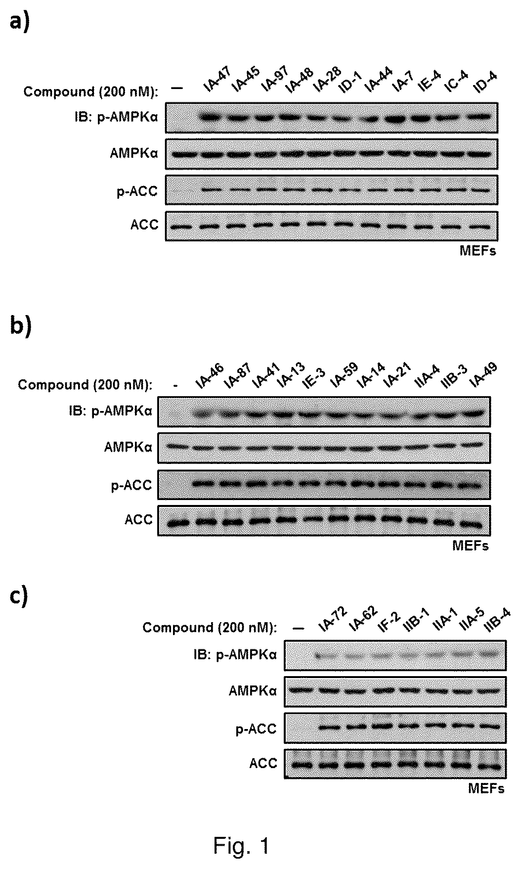 Patent US12410142 — Substituted imidazole salt compounds, preparation method thereof, pharmaceutical composition thereof and application thereof — Figure 1